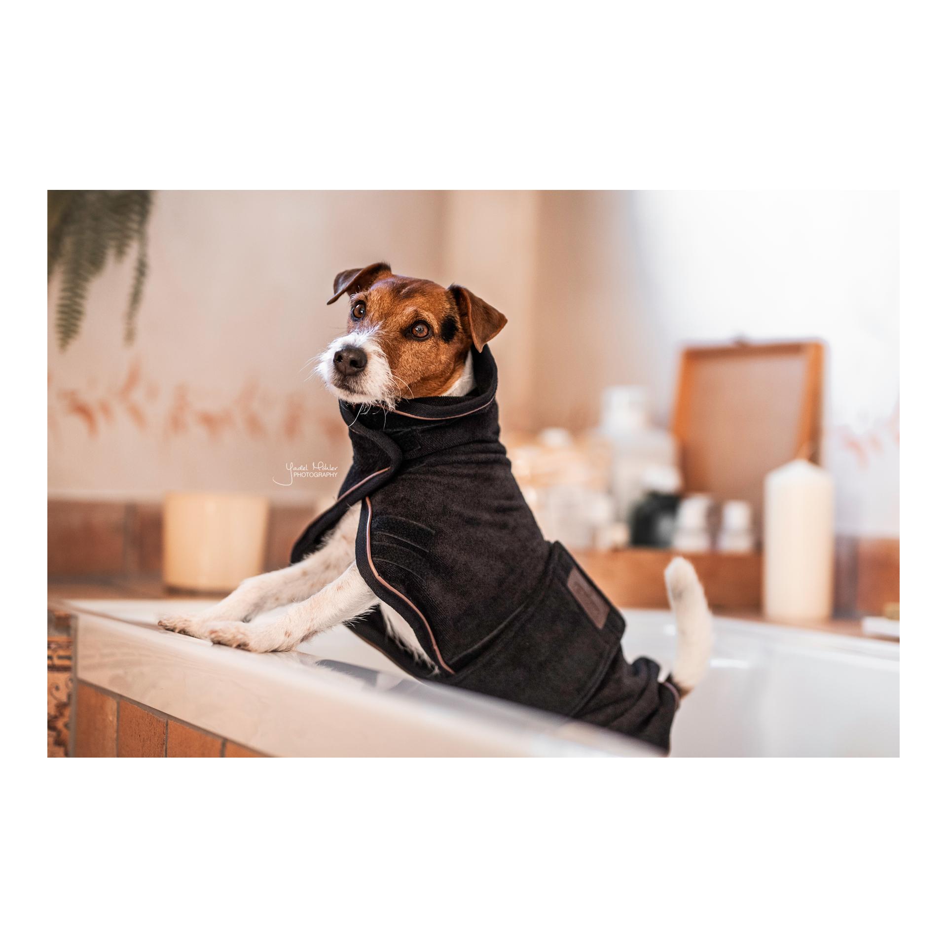Kentucky Dogwear Hundemantel Dog Coat Towel
