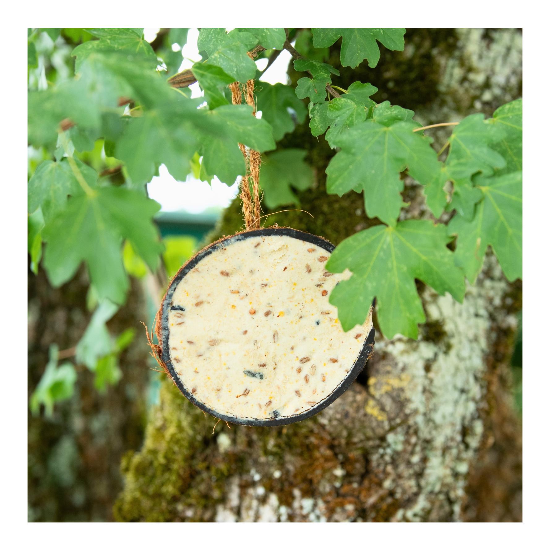 Halbe Kokosnuss gefüllt