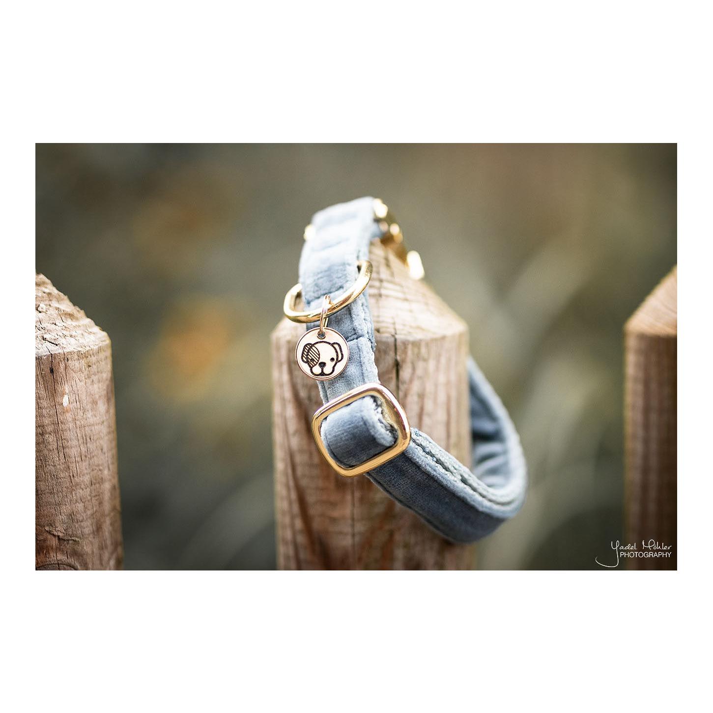 Kentucky Dogwear Hundehalsband Velvet - light blue