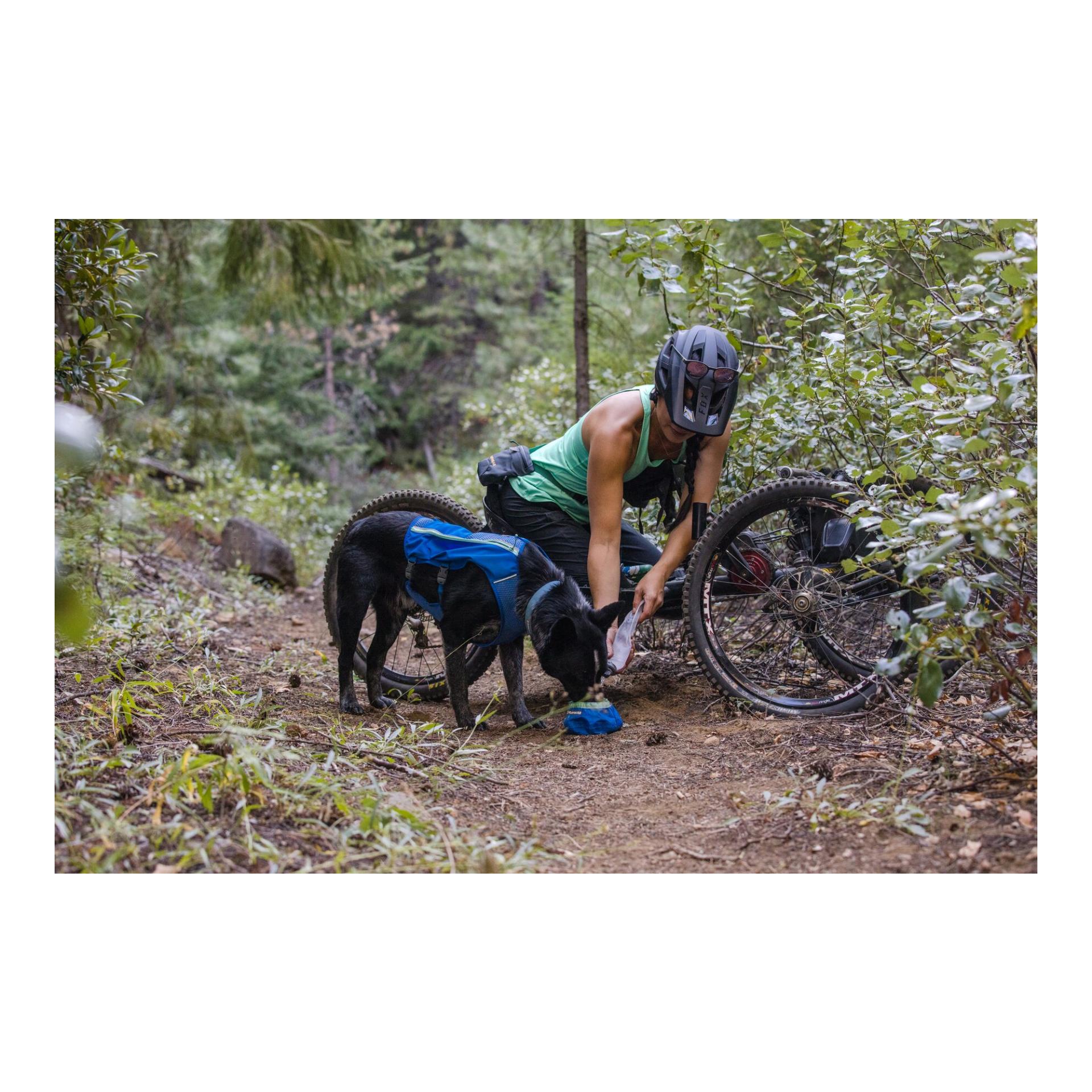 Trail Runner™ Bowl Hundenapf