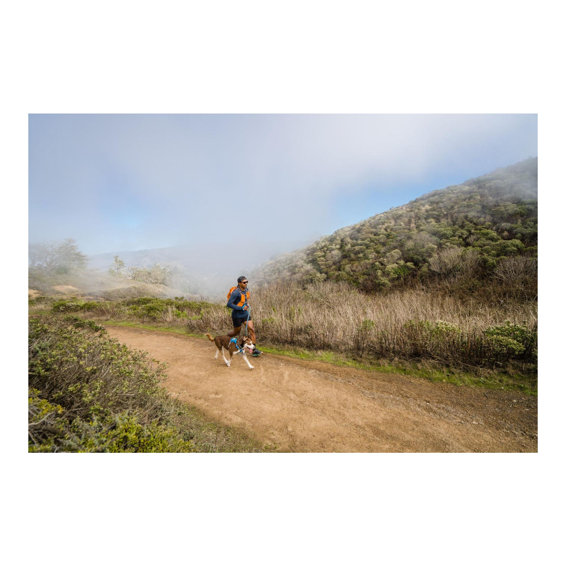 Hi & Light™ Geschirr