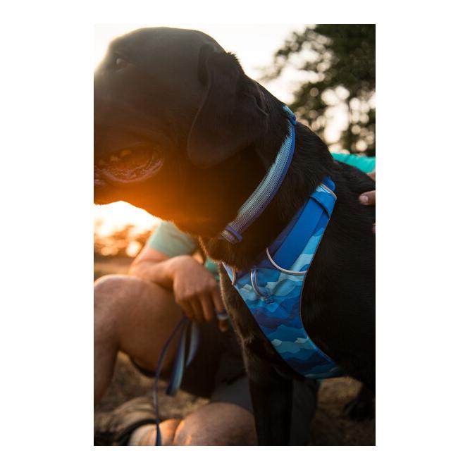 Front Range™ Collar Hundehalsband 