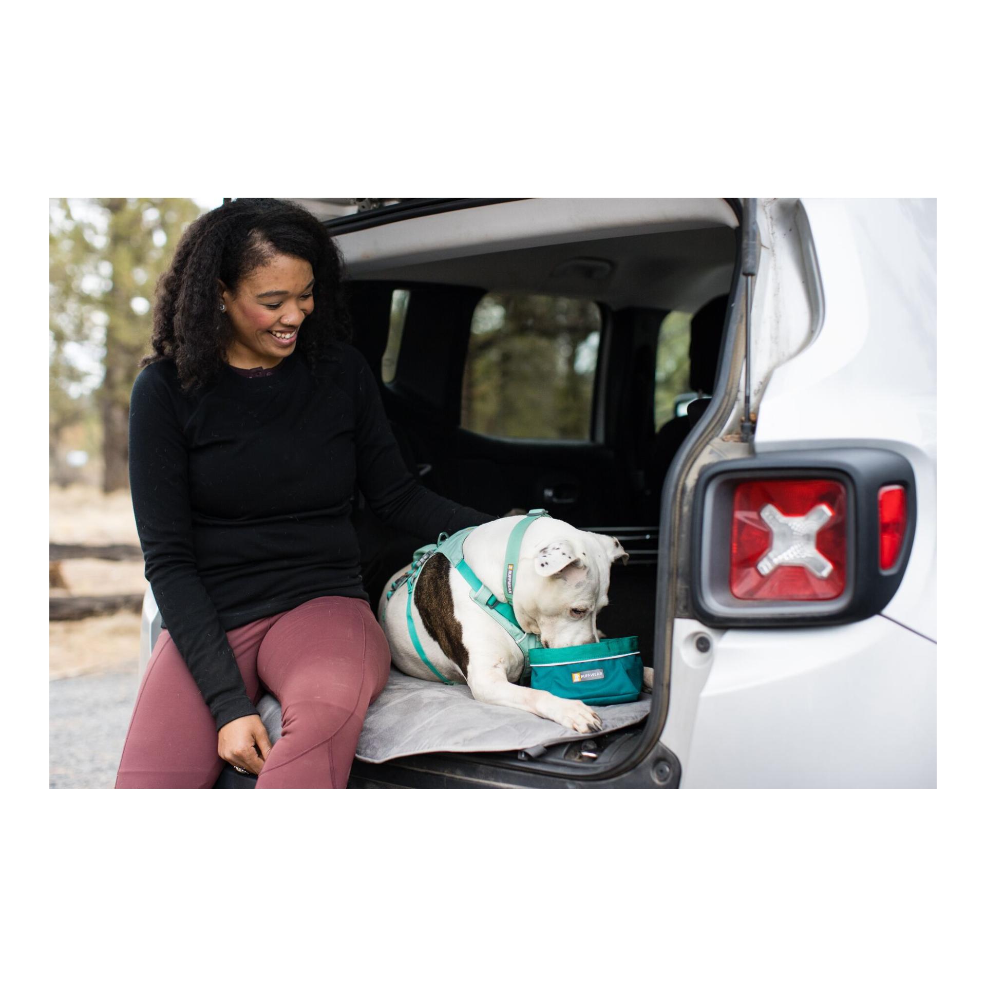 Flagline™ Hundegeschirr