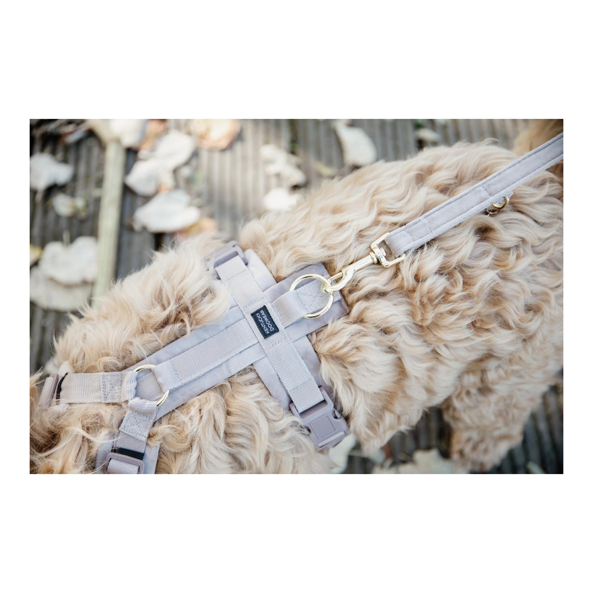 Hundegeschirr Active Velvet