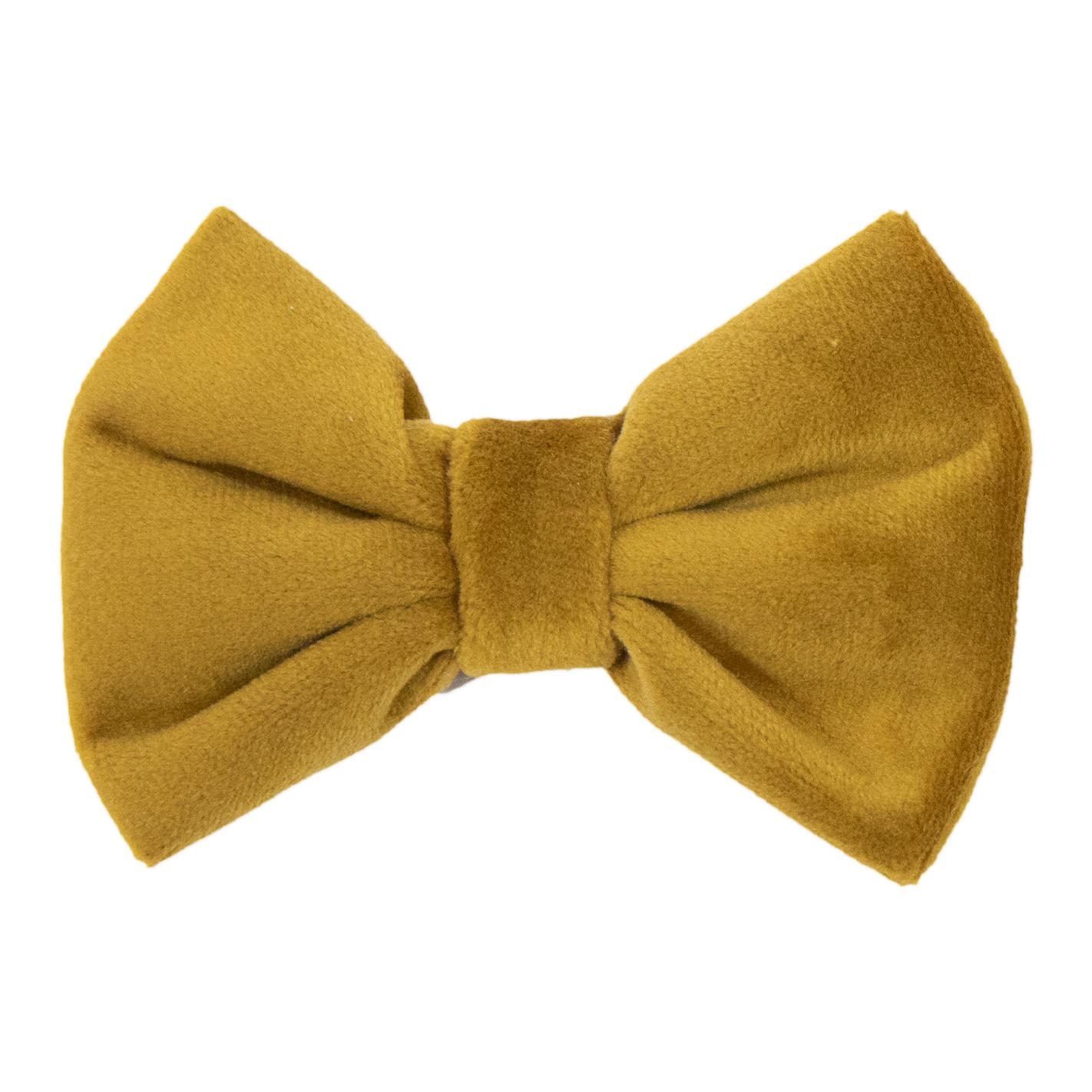 Kentucky Dogwear Fliege velvet - Mustard -