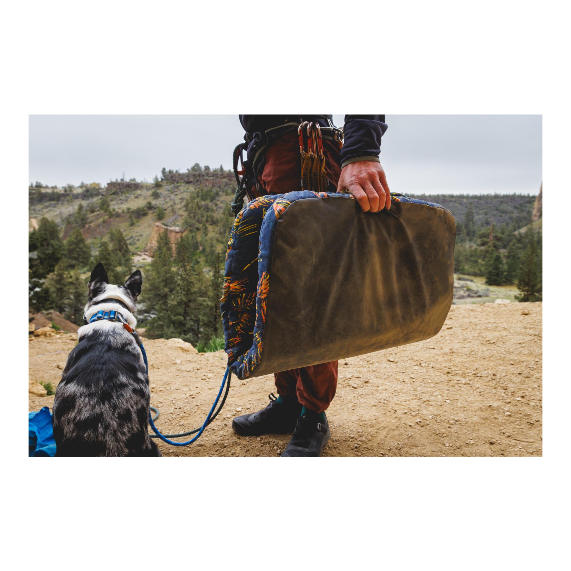 Hundebett Basecamp Bed