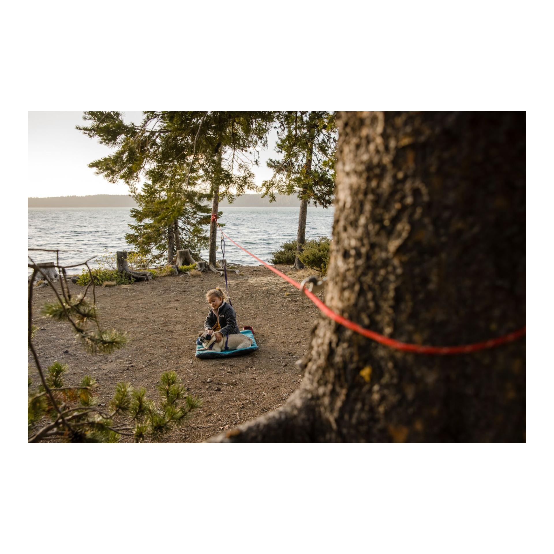 Knot-a-Hitch™ Hunde-Anleinsystem