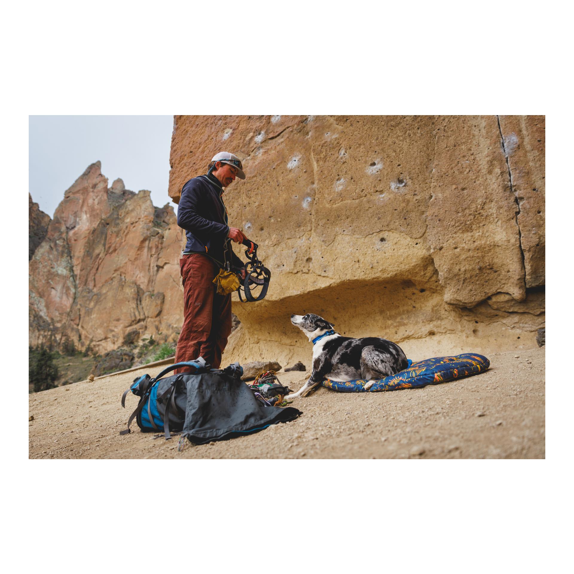 Hundebett Basecamp Bed