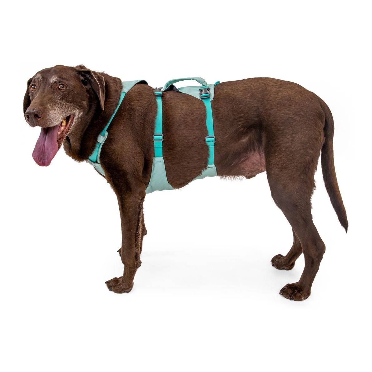 Flagline™ Hundegeschirr