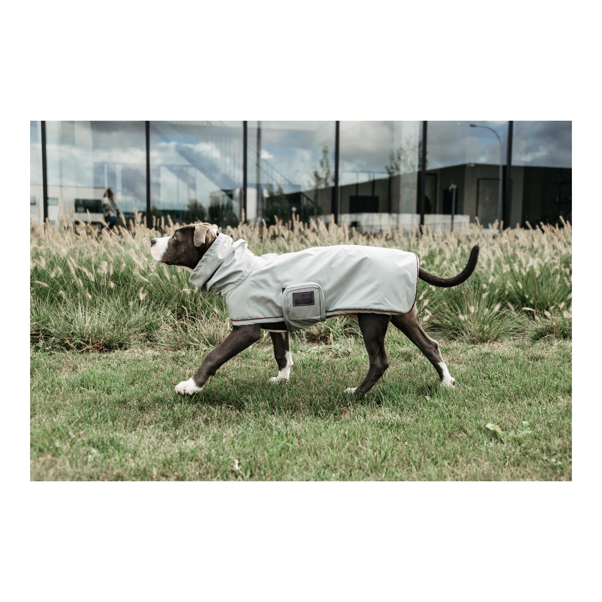 Hunde Regenjacke
