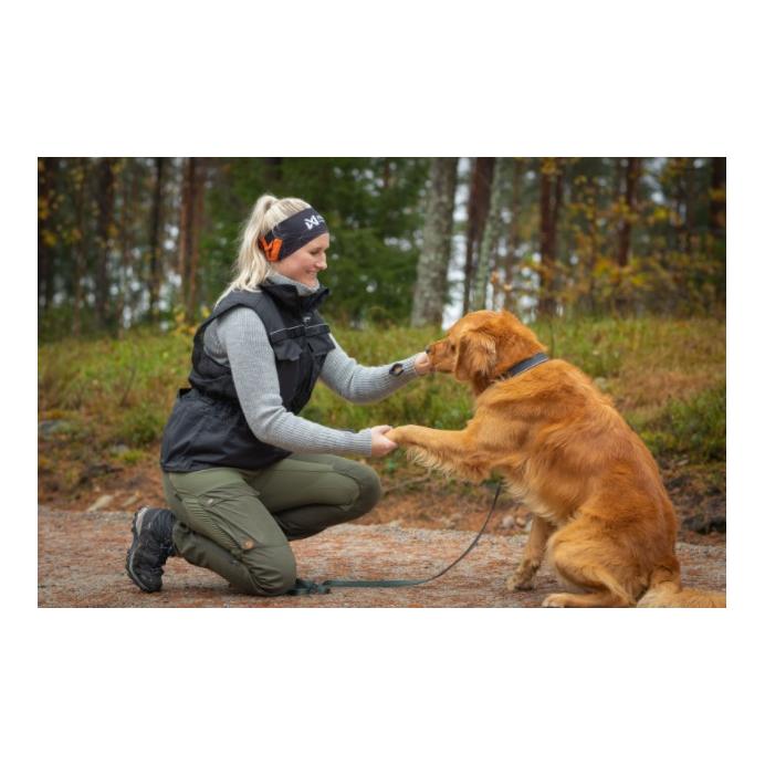 Dog Training Vest