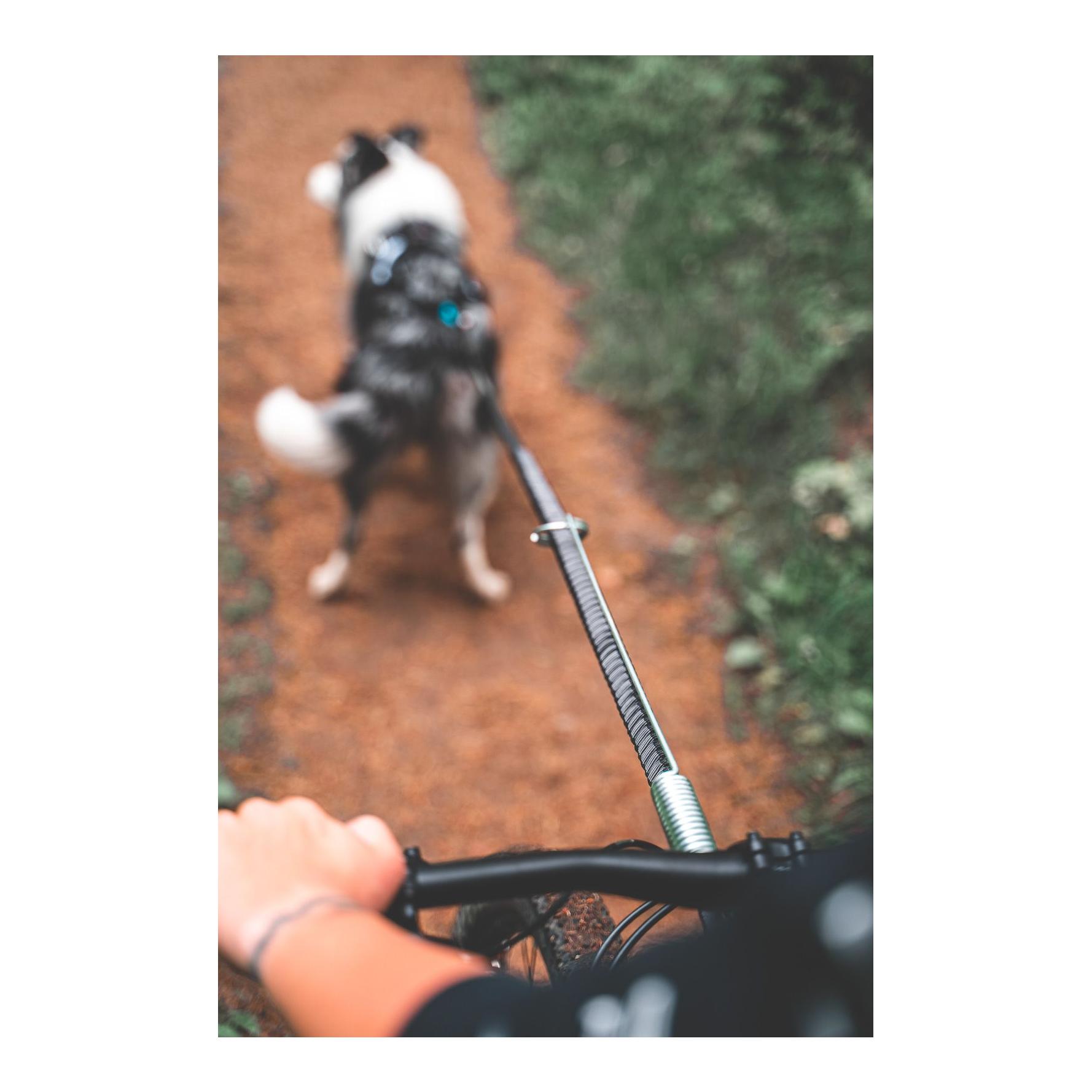 Non-stop Dogwear Bike Jöring Antenne
