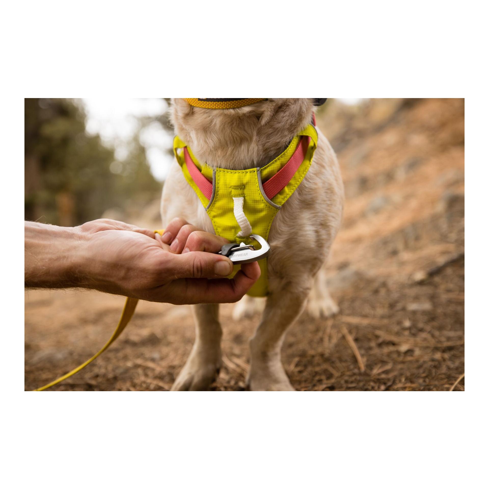 Hi & Light™ Geschirr