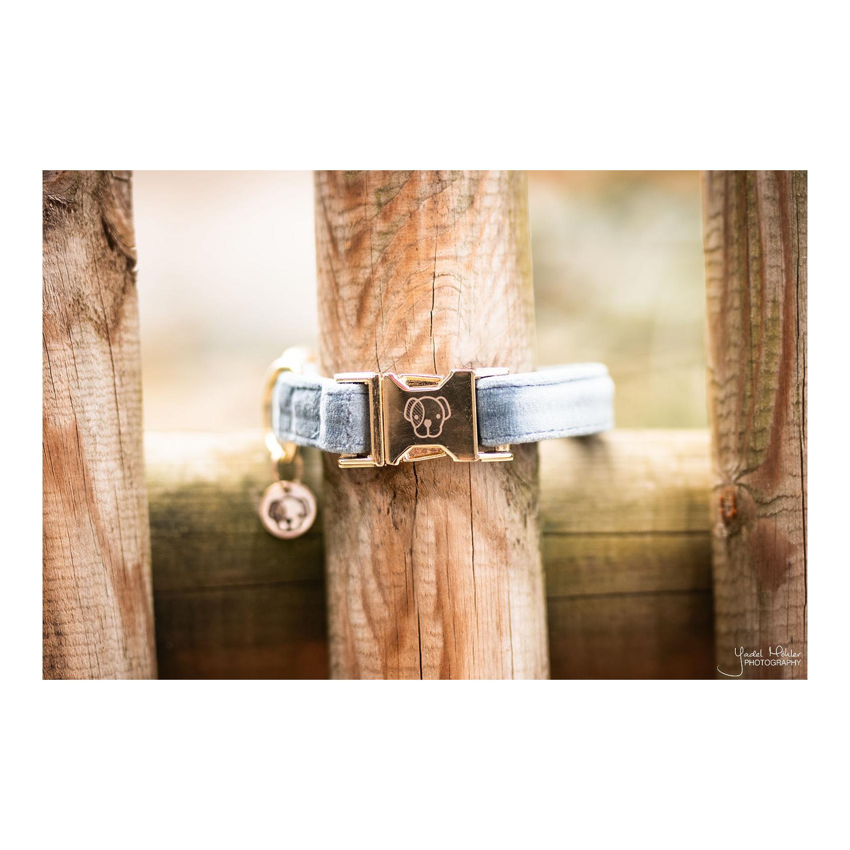 Kentucky Dogwear Hundehalsband Velvet - light blue