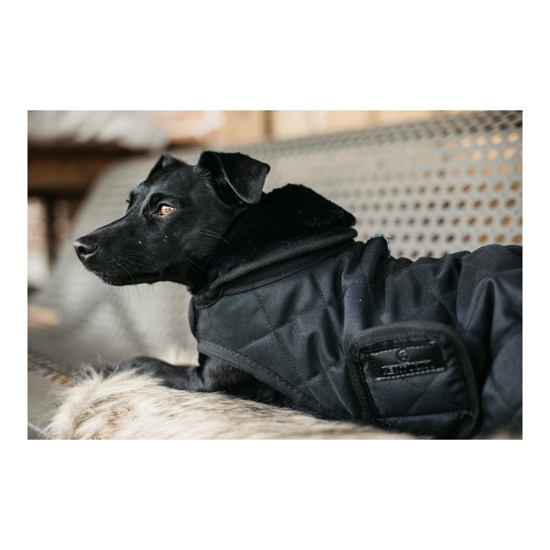 Hundemantel Original - black/black