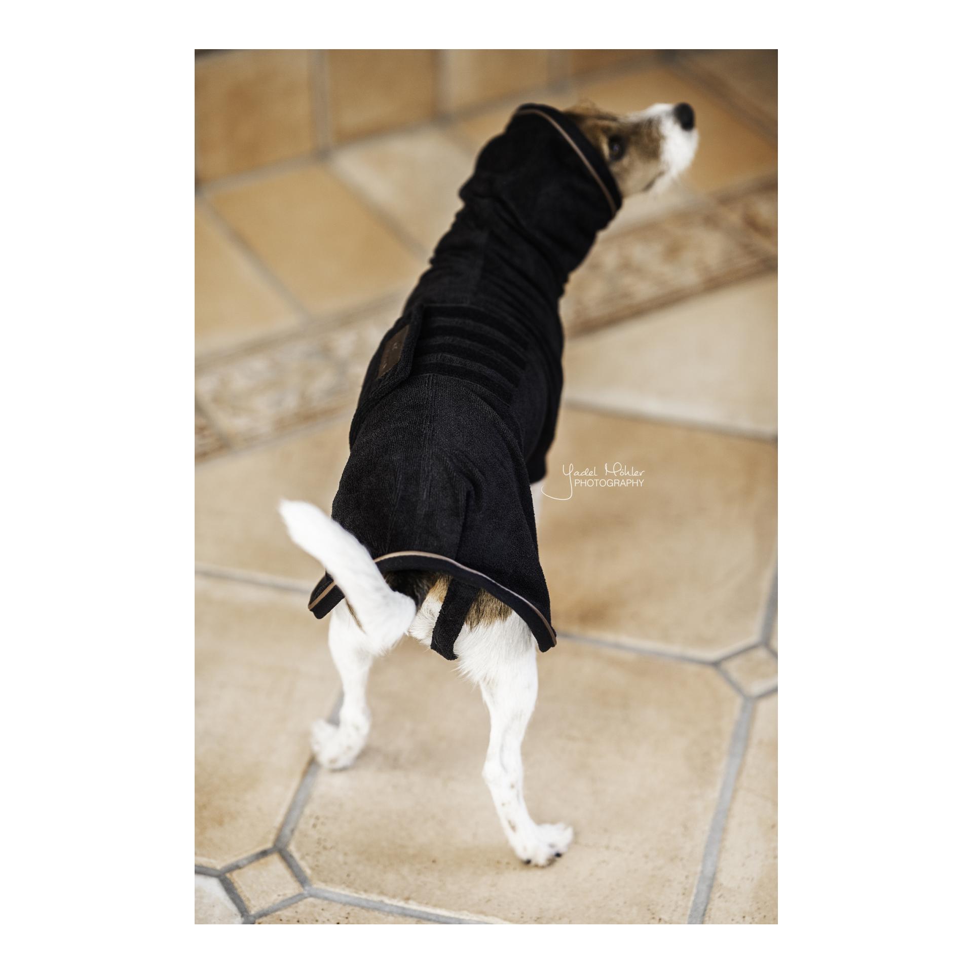Kentucky Dogwear Hundemantel Dog Coat Towel
