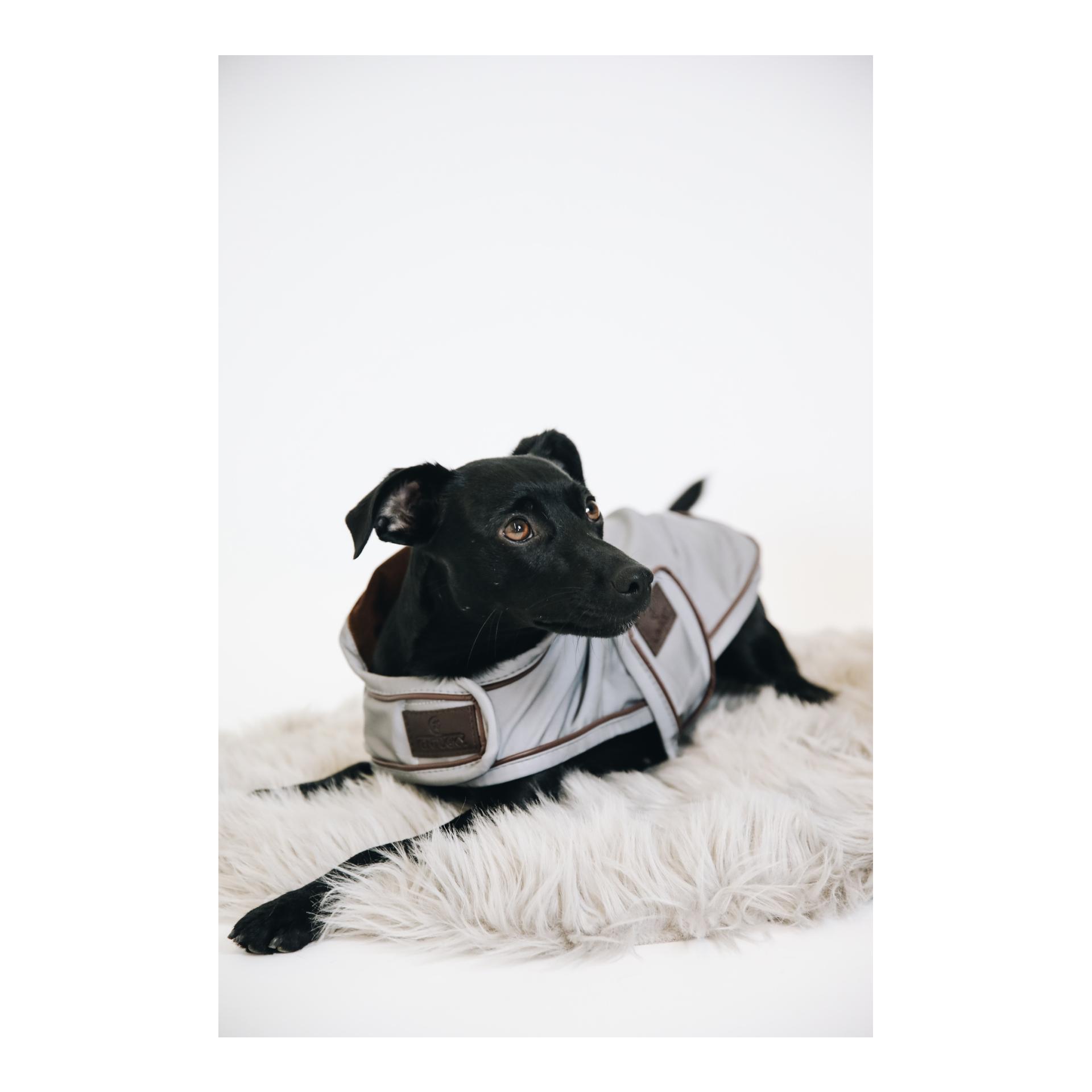 Hundemantel reflektierend & wasserabweisend