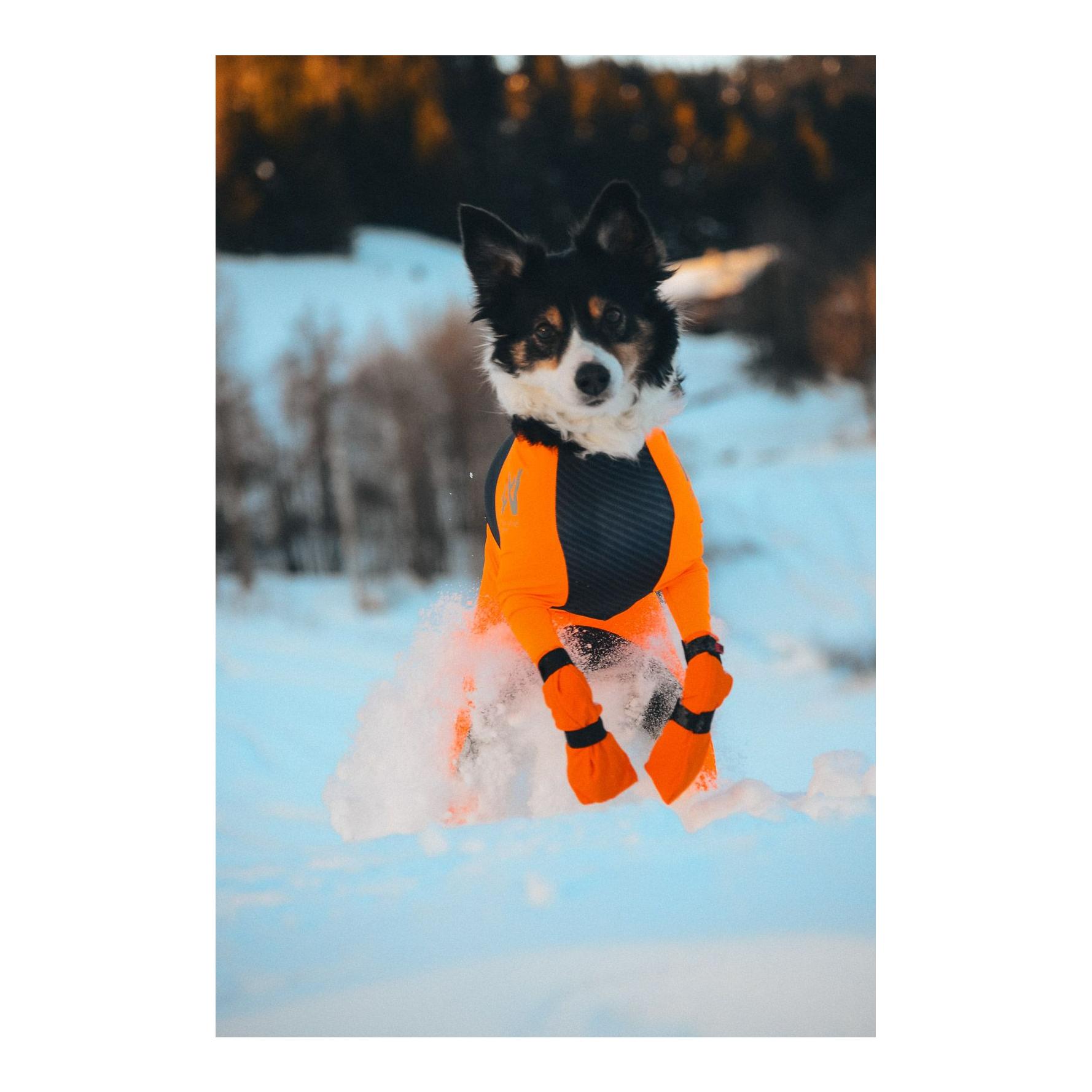 Non-stop Dogwear Contact Bootie High Hundeschuhe