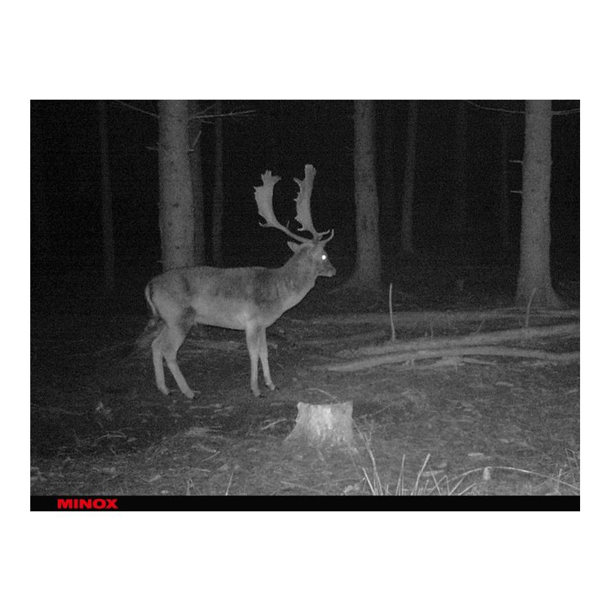 Caméra de chasse DTC 395 Camouflage