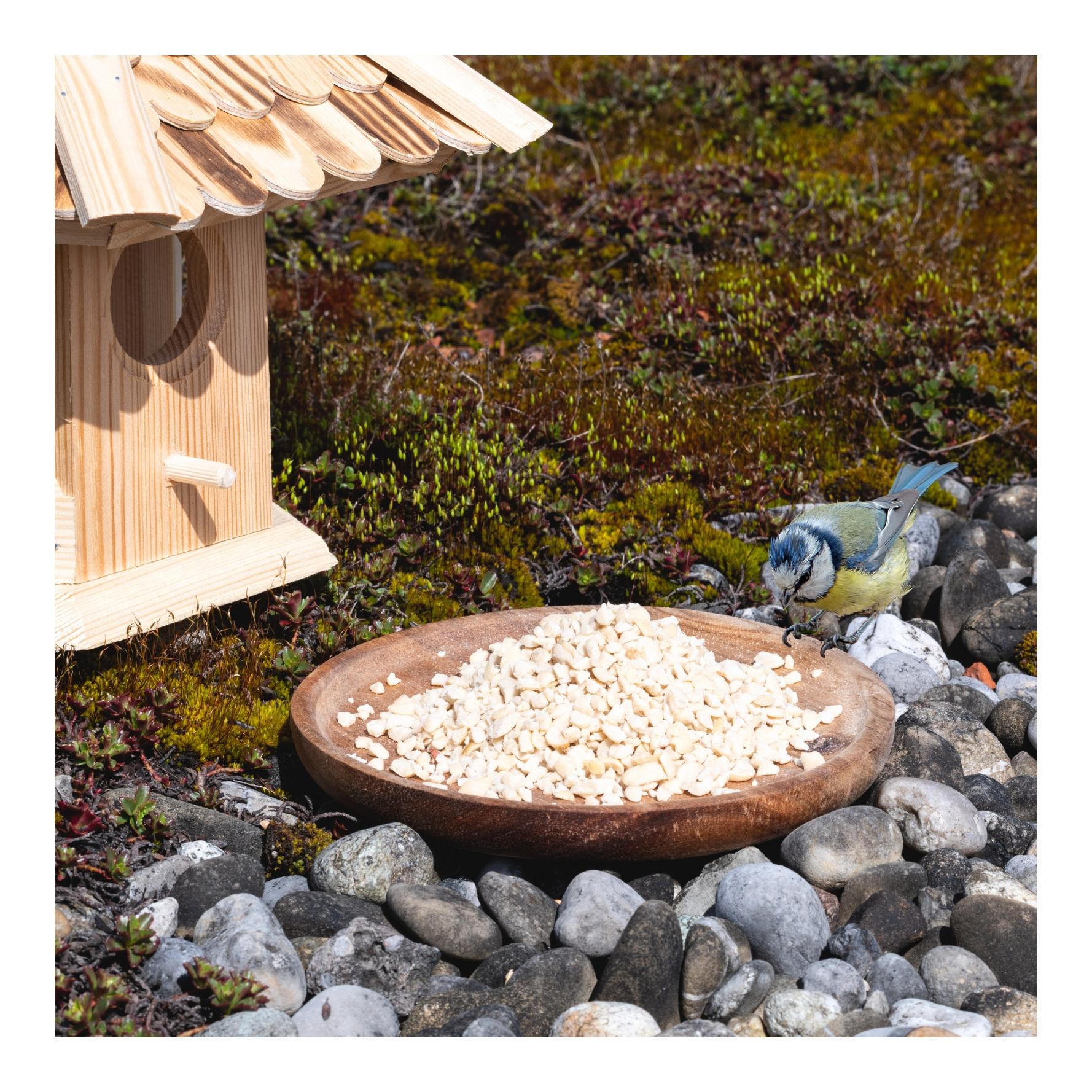 Erdnusskerne weiss gehackt