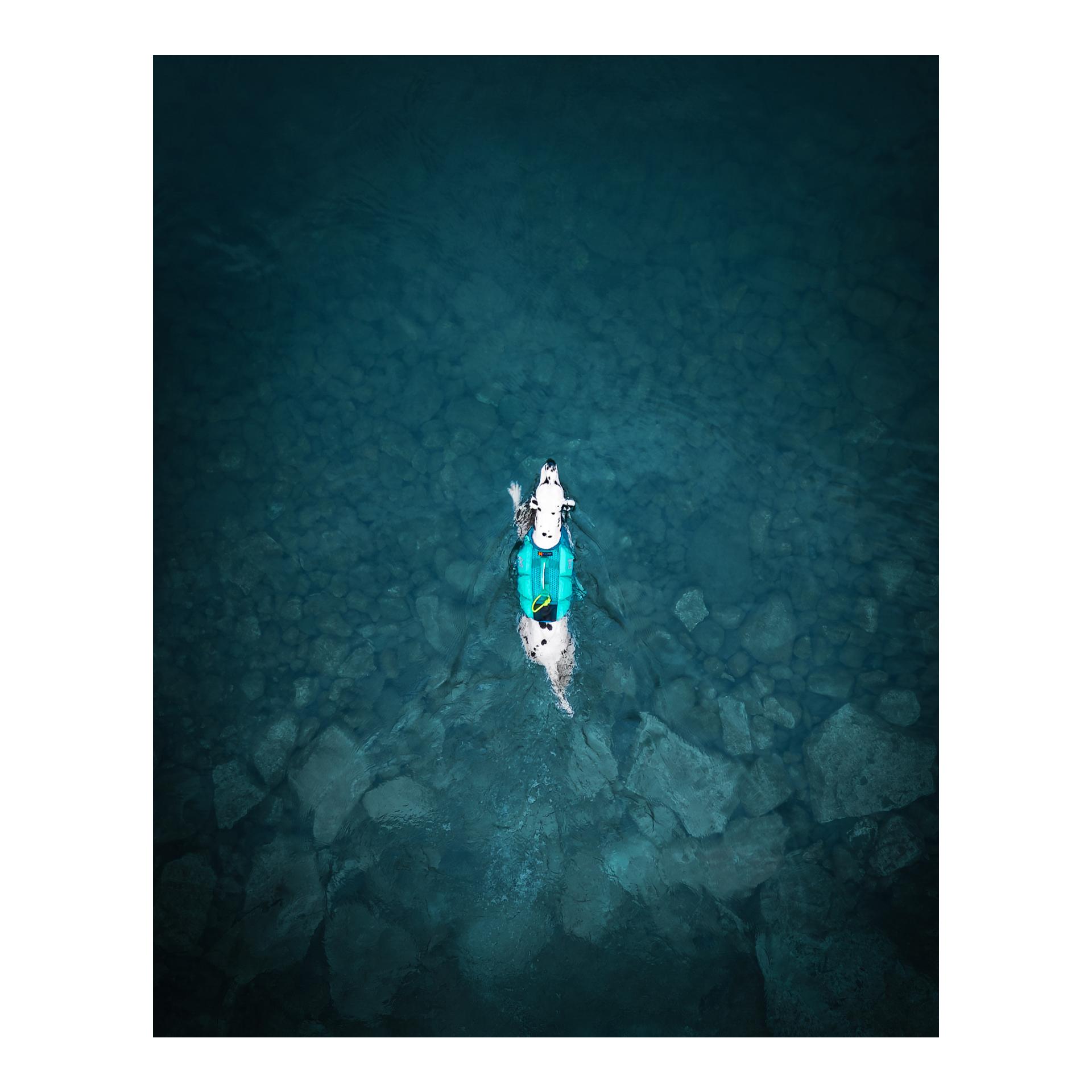 Protector Life Jacket Hundeschwimmweste