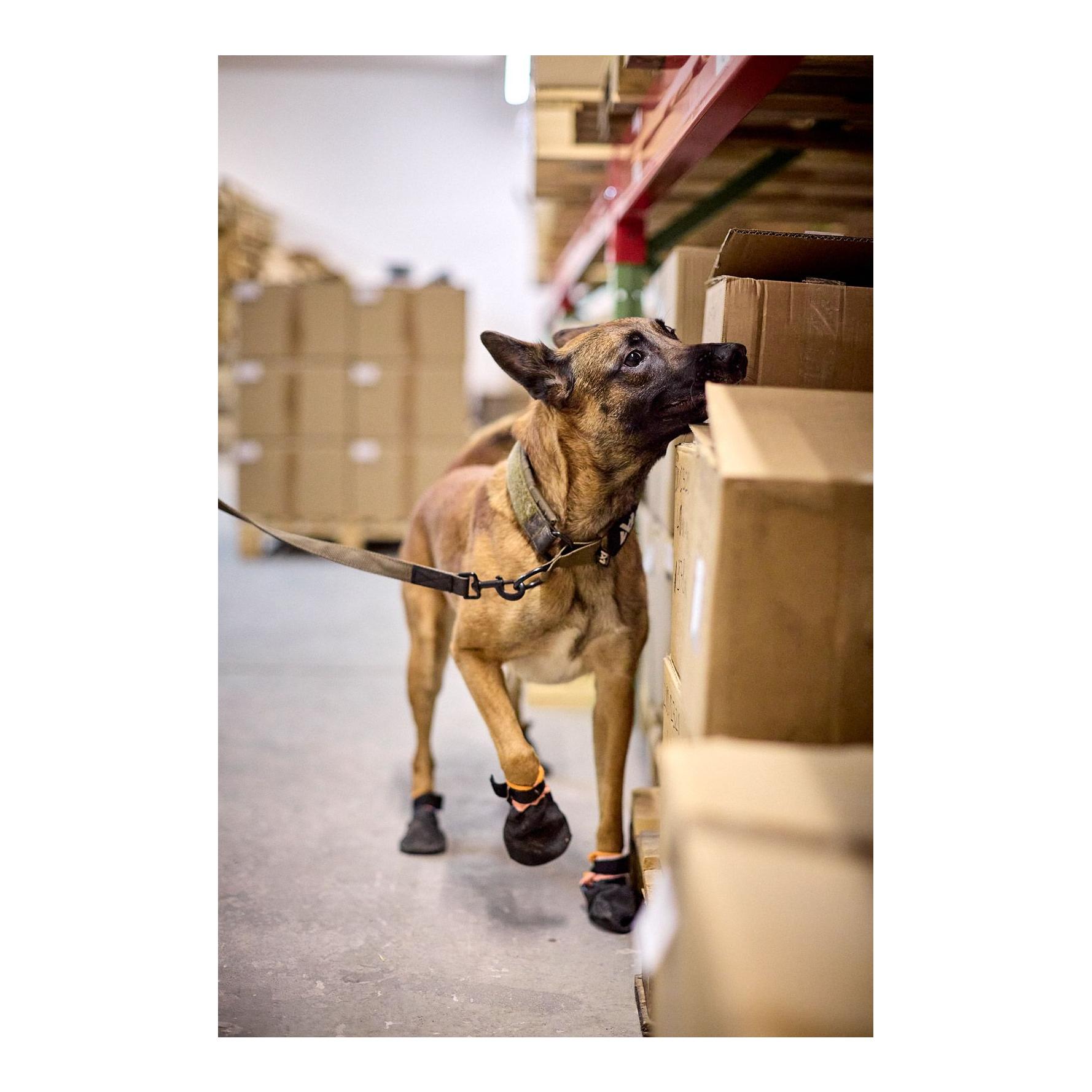 Non-stop Dogwear Hundeleine Solid Leash Working Dog