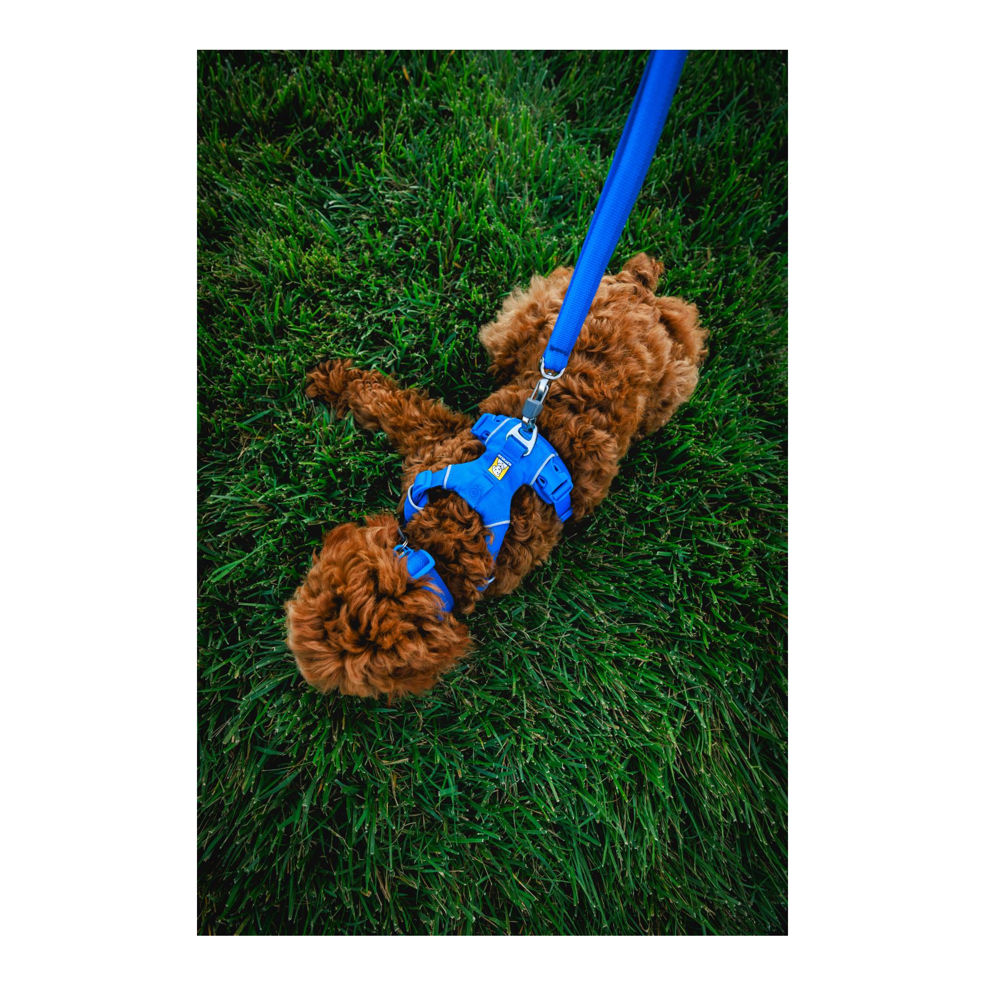 Front Range™ Leash Hundeleine
