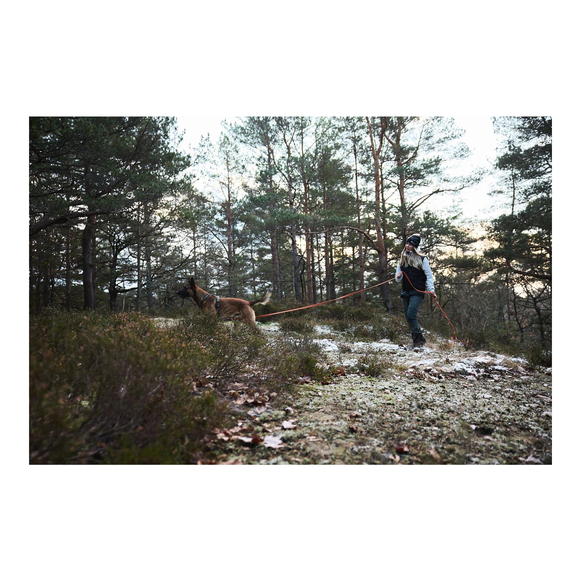 Friction Long Line Schleppleine