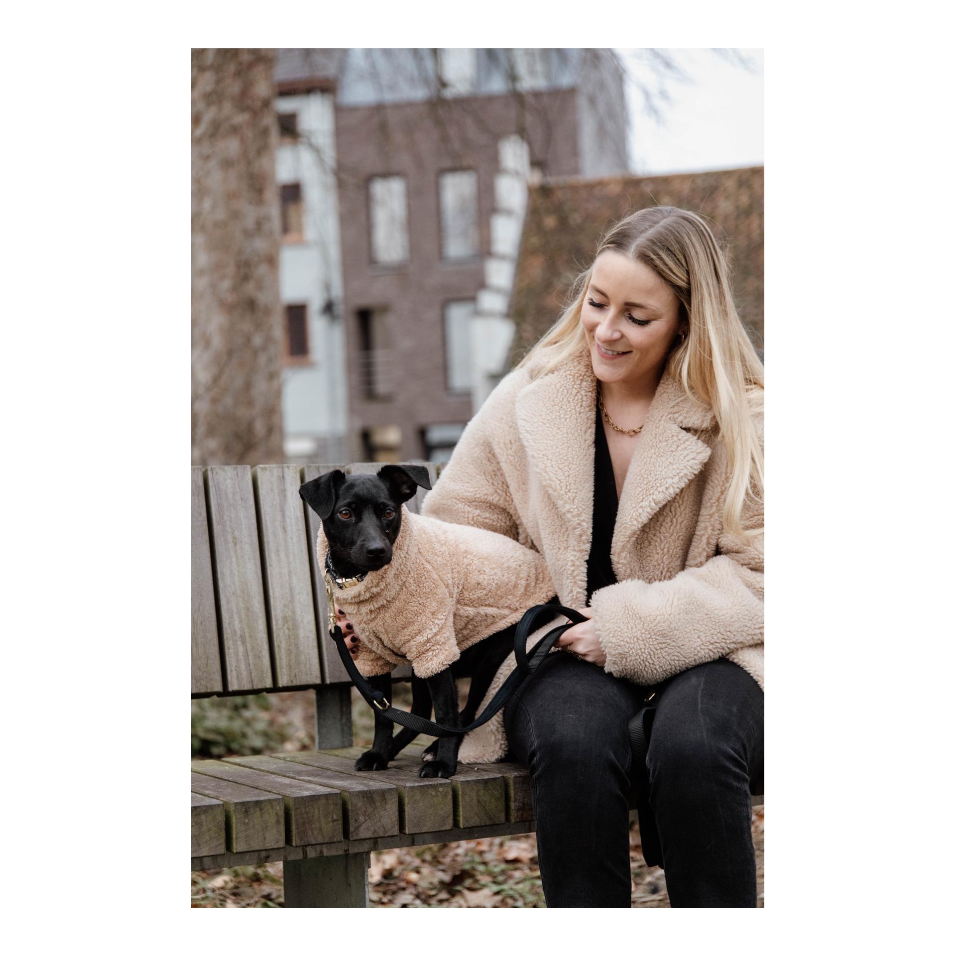 Pullover pour chien Teddy Fleece - beige 