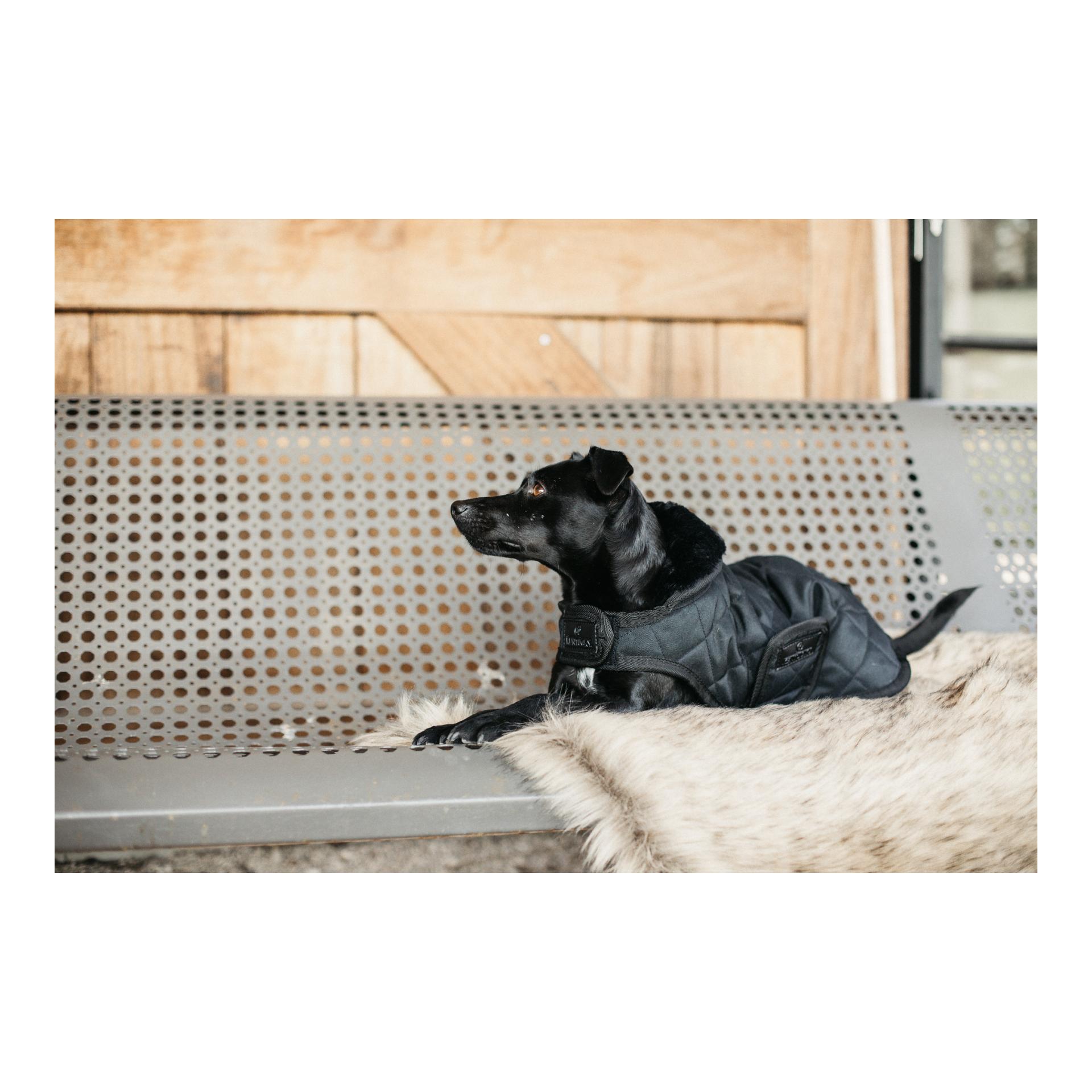 Hundemantel Original - black/black