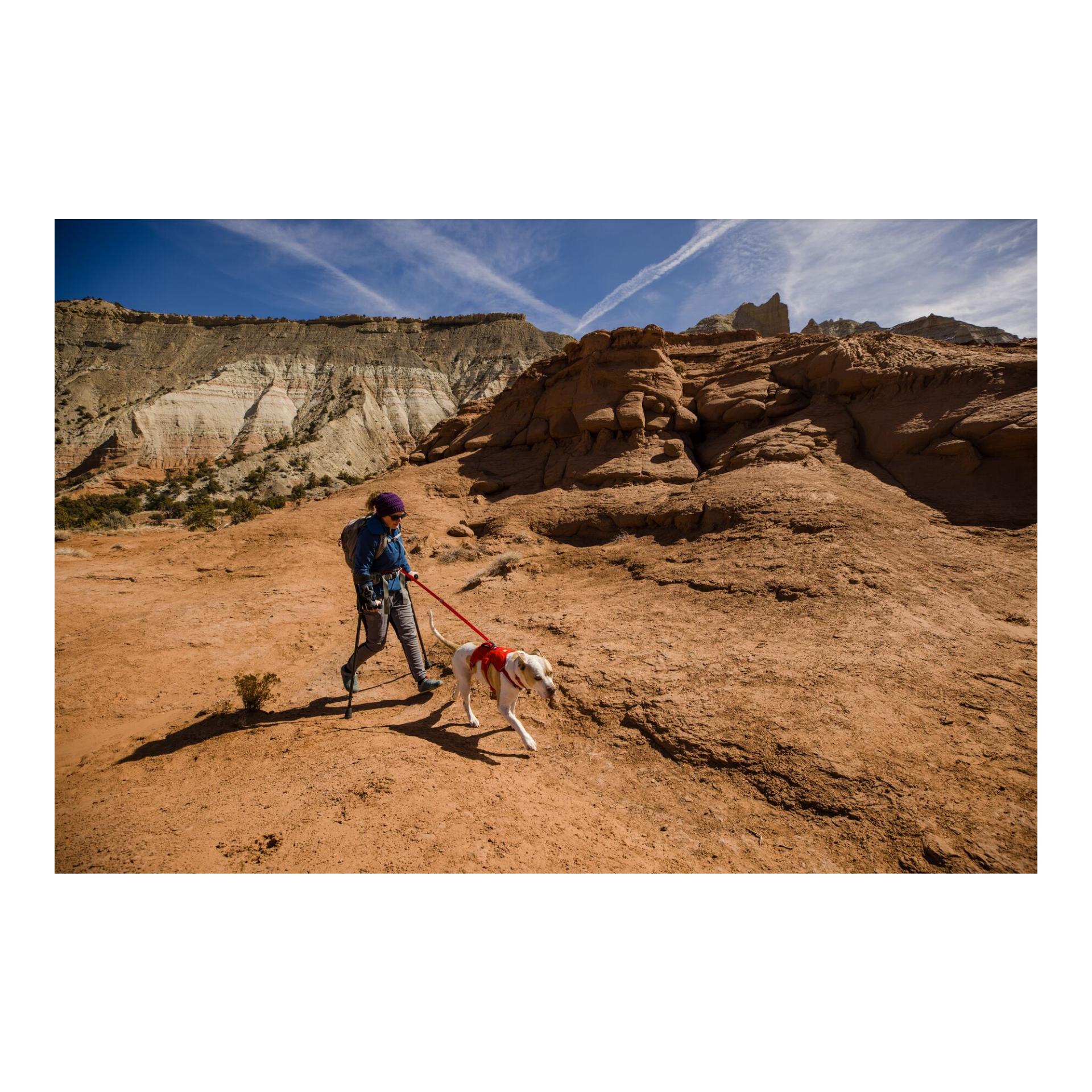 Web Master™ Geschirr