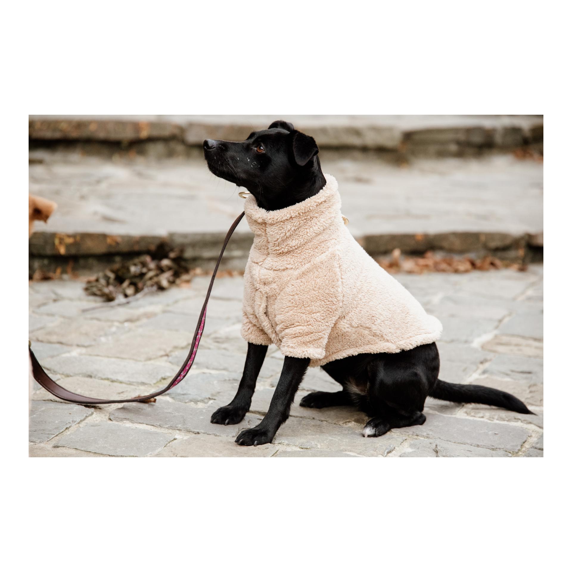 Pullover pour chien Teddy Fleece - beige 