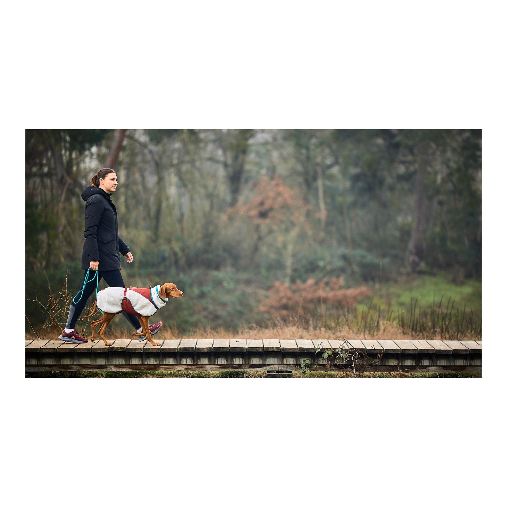 Hundeleine Trekking Rope Leash, 8mm