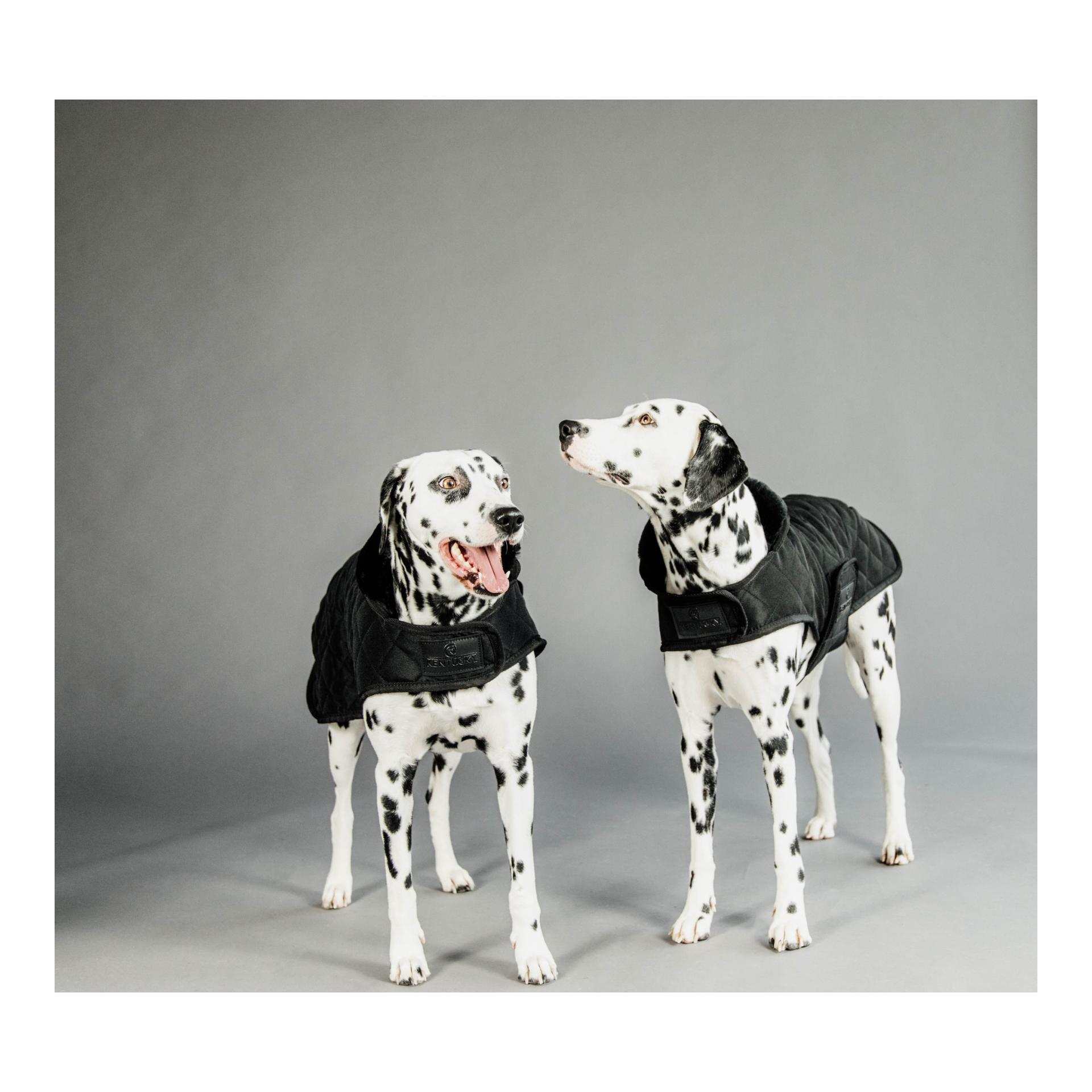 Hundemantel Original - black/black