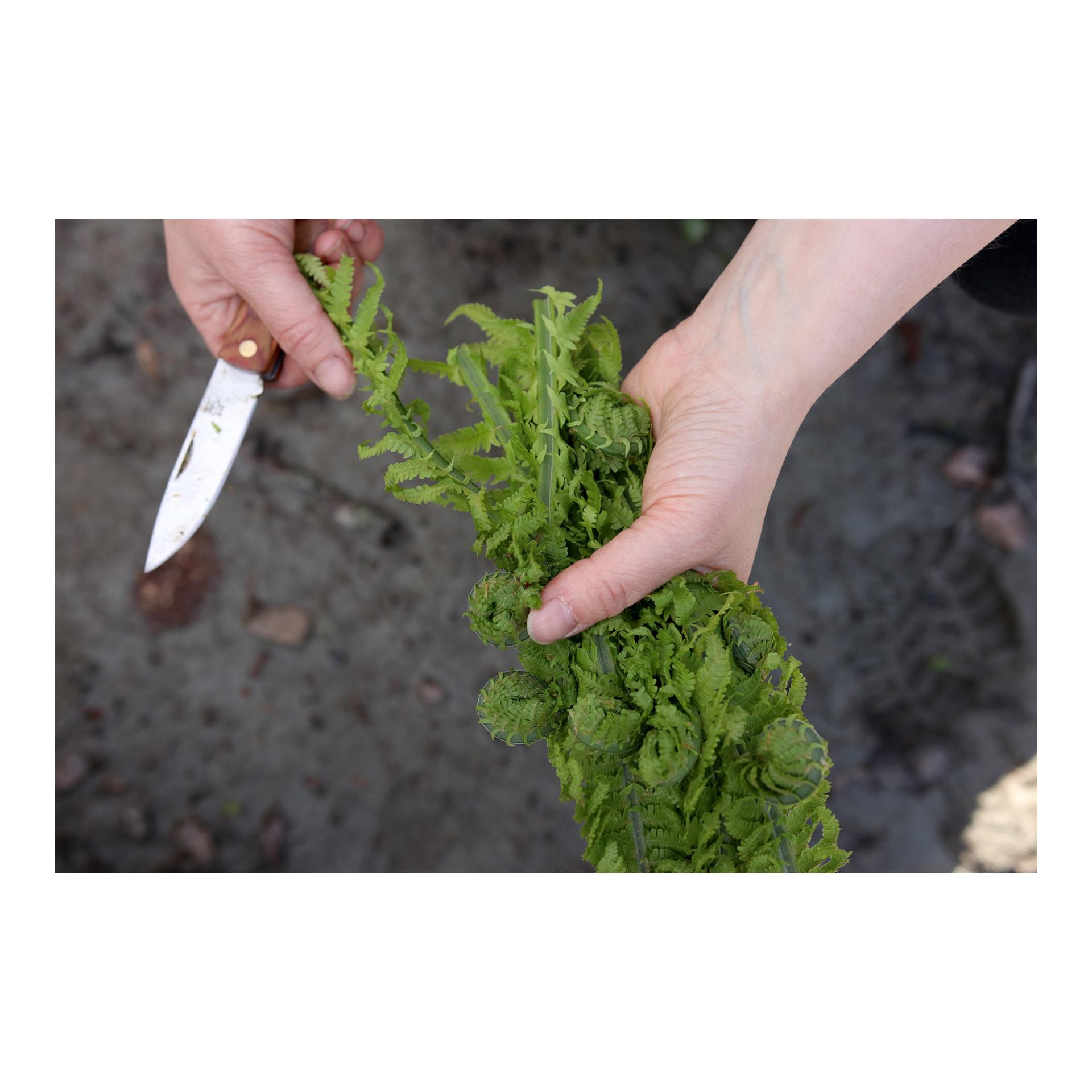 MARKA - Couteau pliant de chasse/de plein air pliable avec étui en cuir 