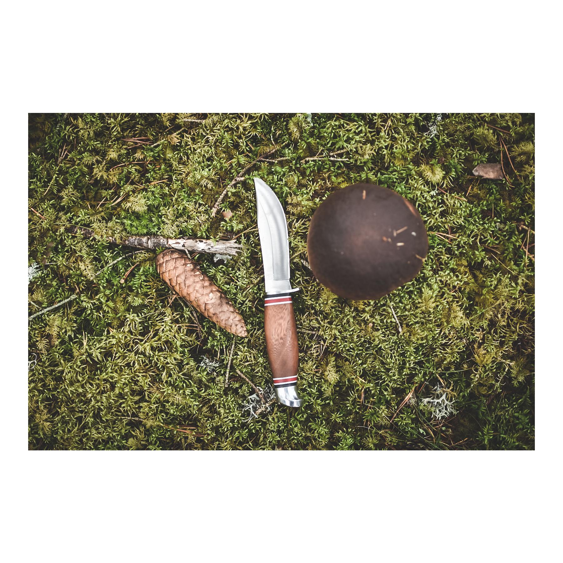 GEILO - Jagd/Outdoormesser mit Lederscheide GEILO - Jagd/Outdoormesser mit Lederscheide