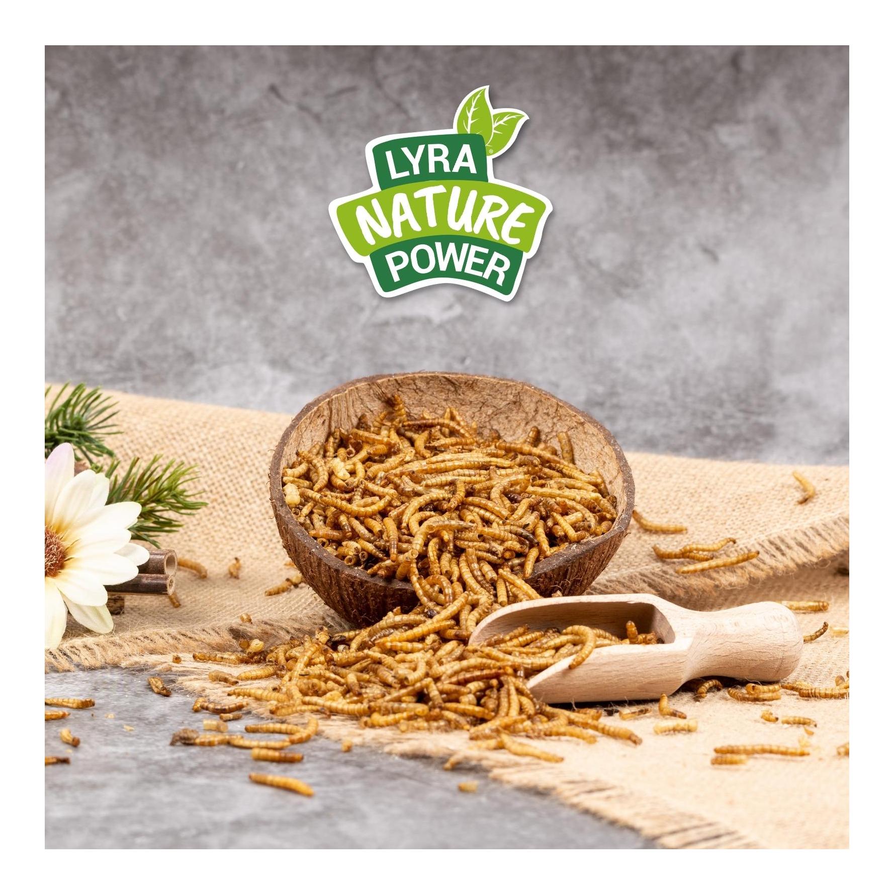 Mehlwürmer getrocknet