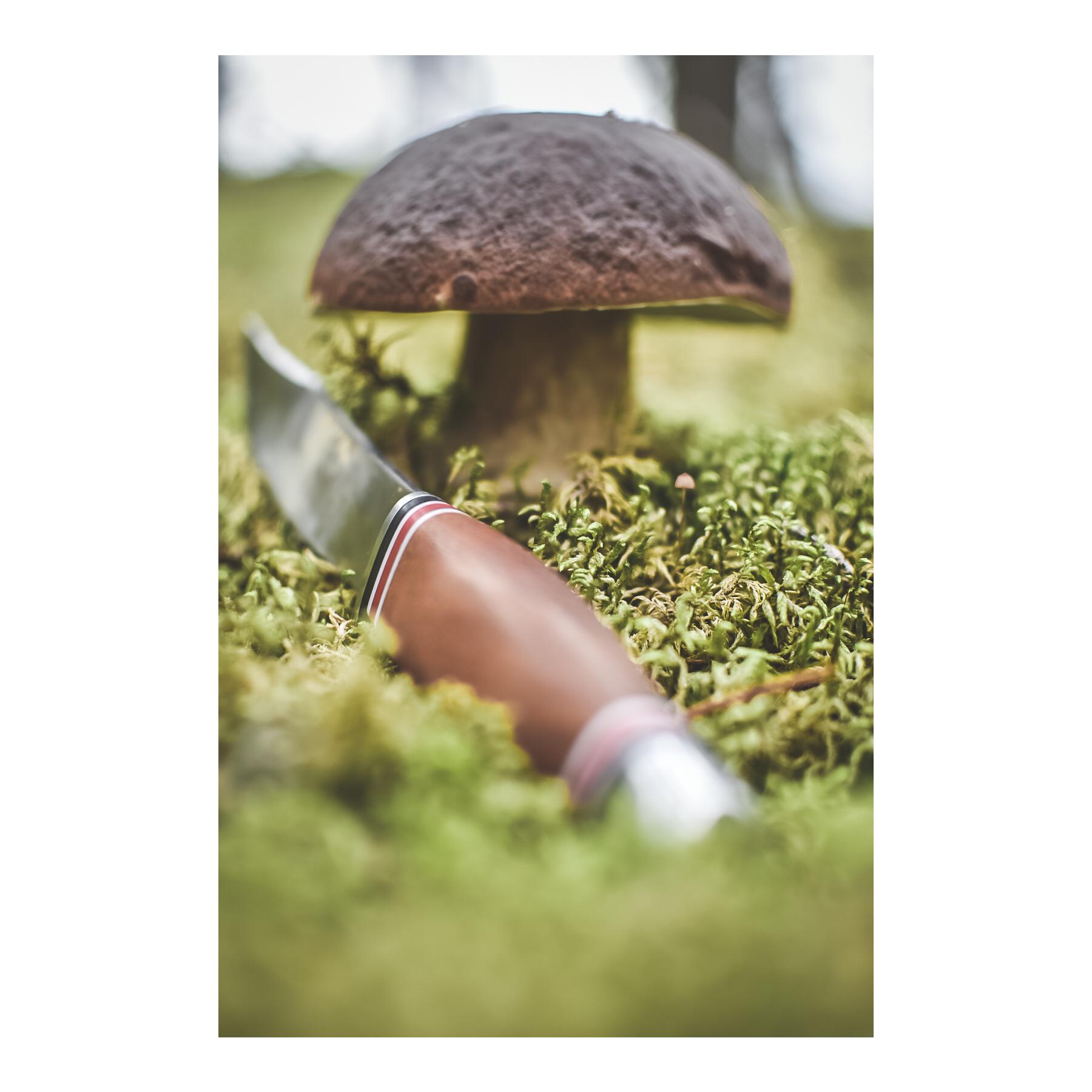 GEILO - Jagd/Outdoormesser mit Lederscheide GEILO - Jagd/Outdoormesser mit Lederscheide