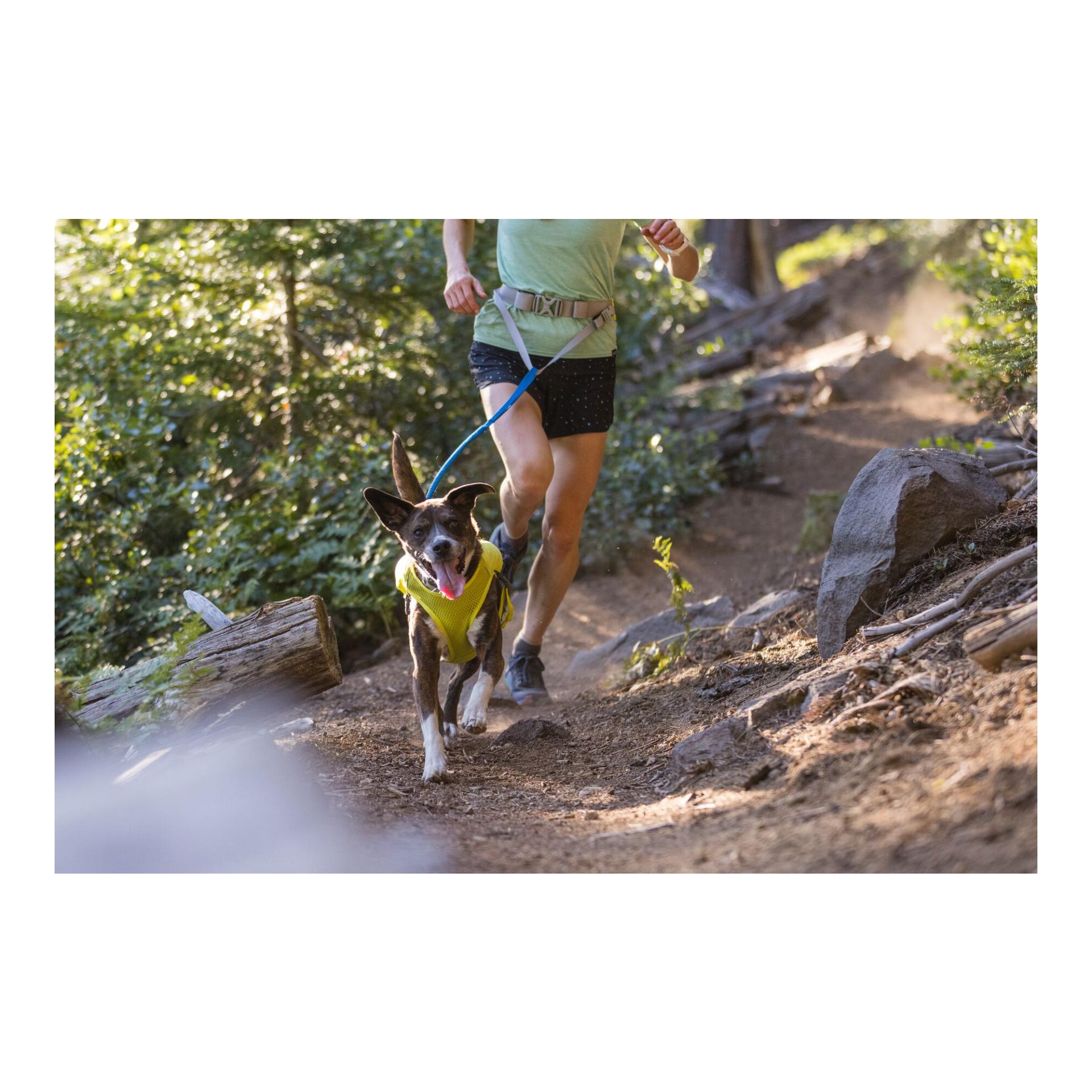 Trail Runner™ Leash Joggingleine