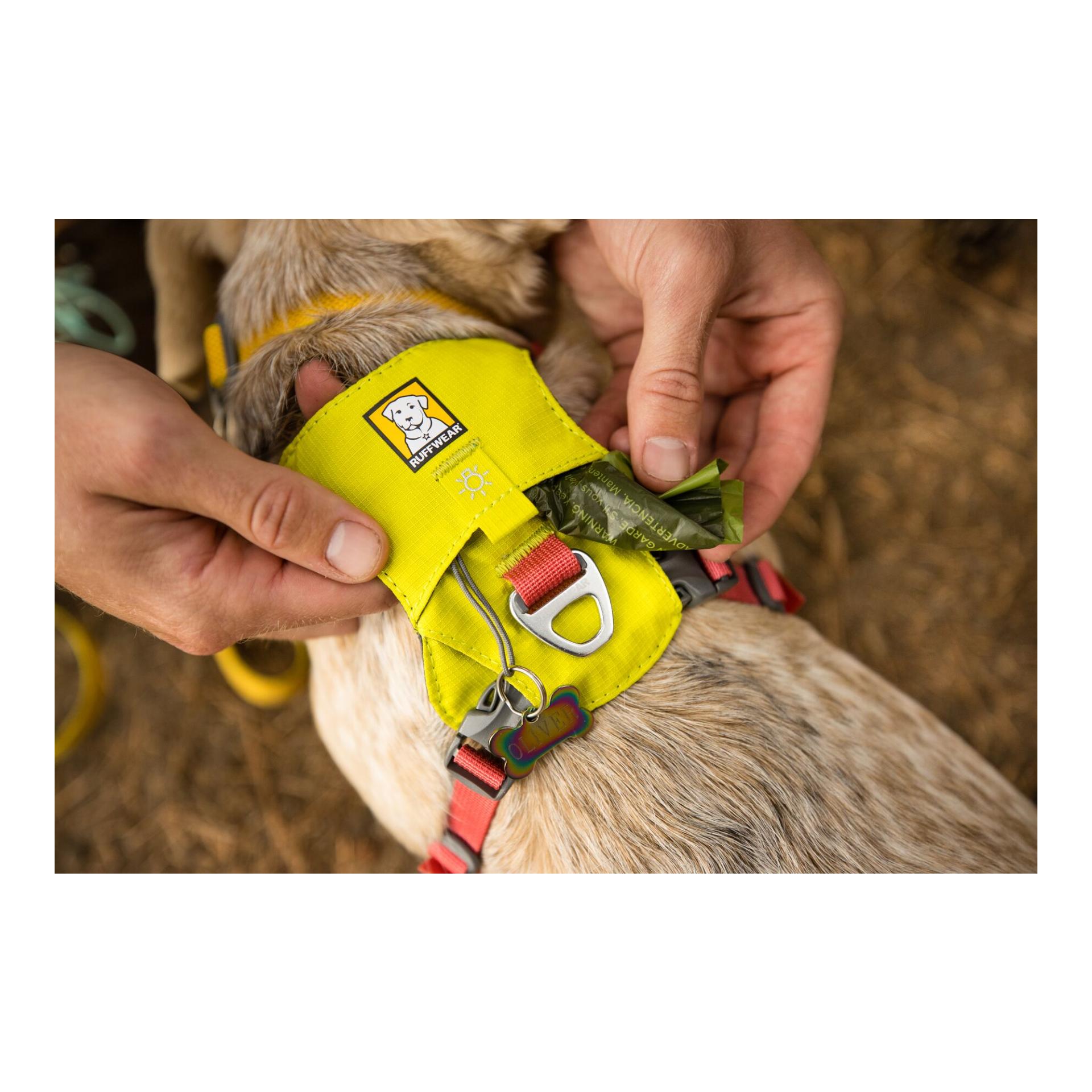 Hi & Light™ Geschirr