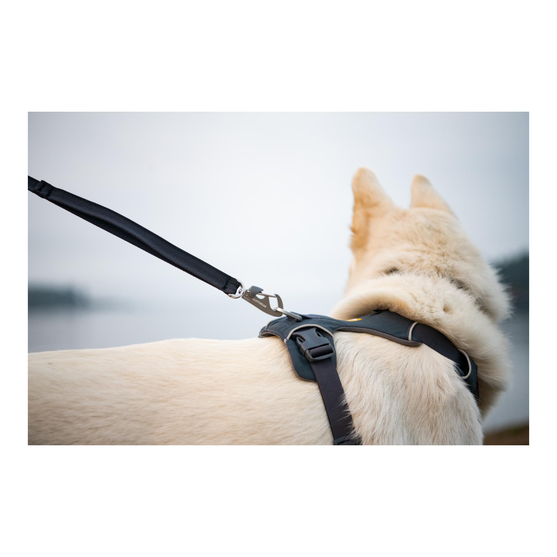 Front Range™ Leash Hundeleine