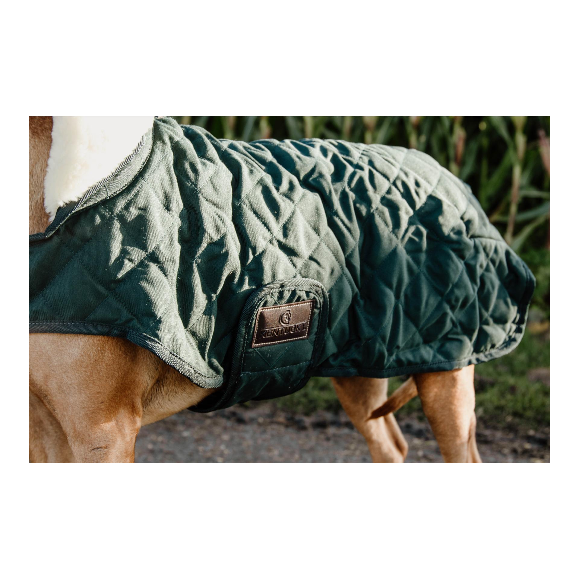 Kentucky Dogwear Hundemantel Original - dark green