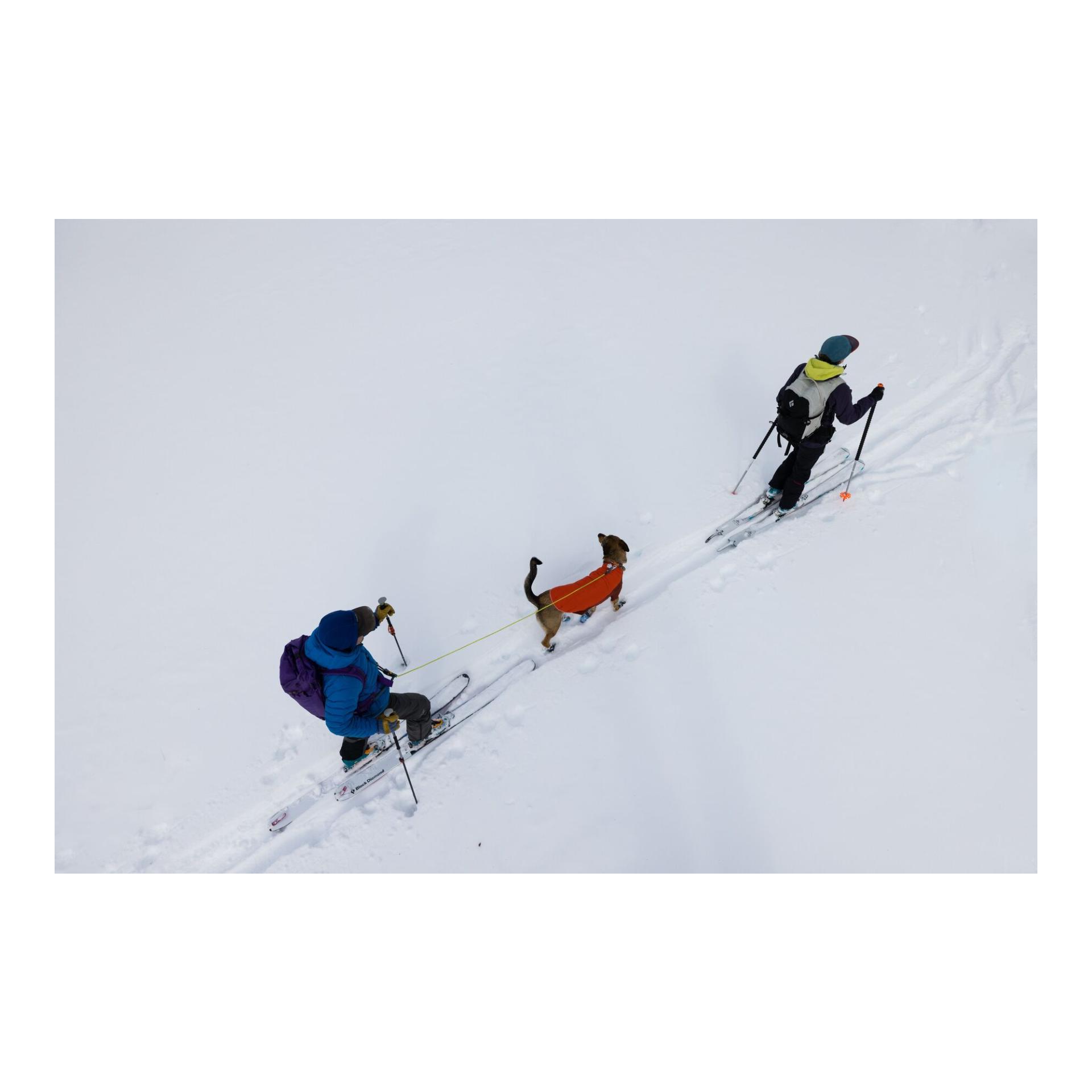 Ruffwear Powder Hound™ Jacket Hundejacke