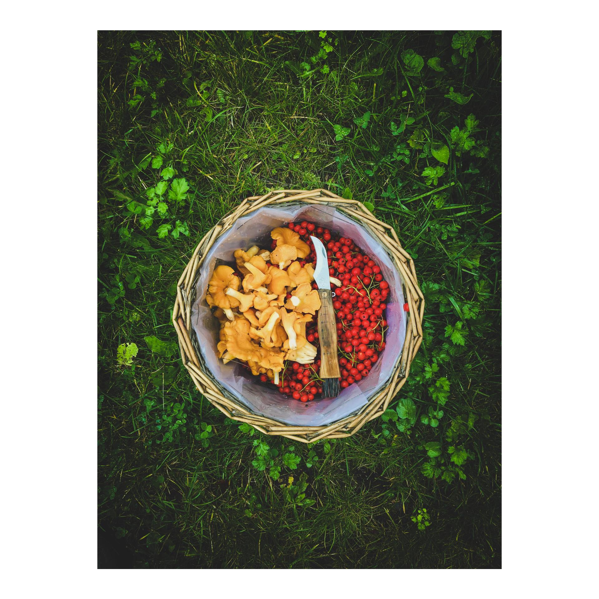 SOPP - Pilzklappmesser Slipjoint 