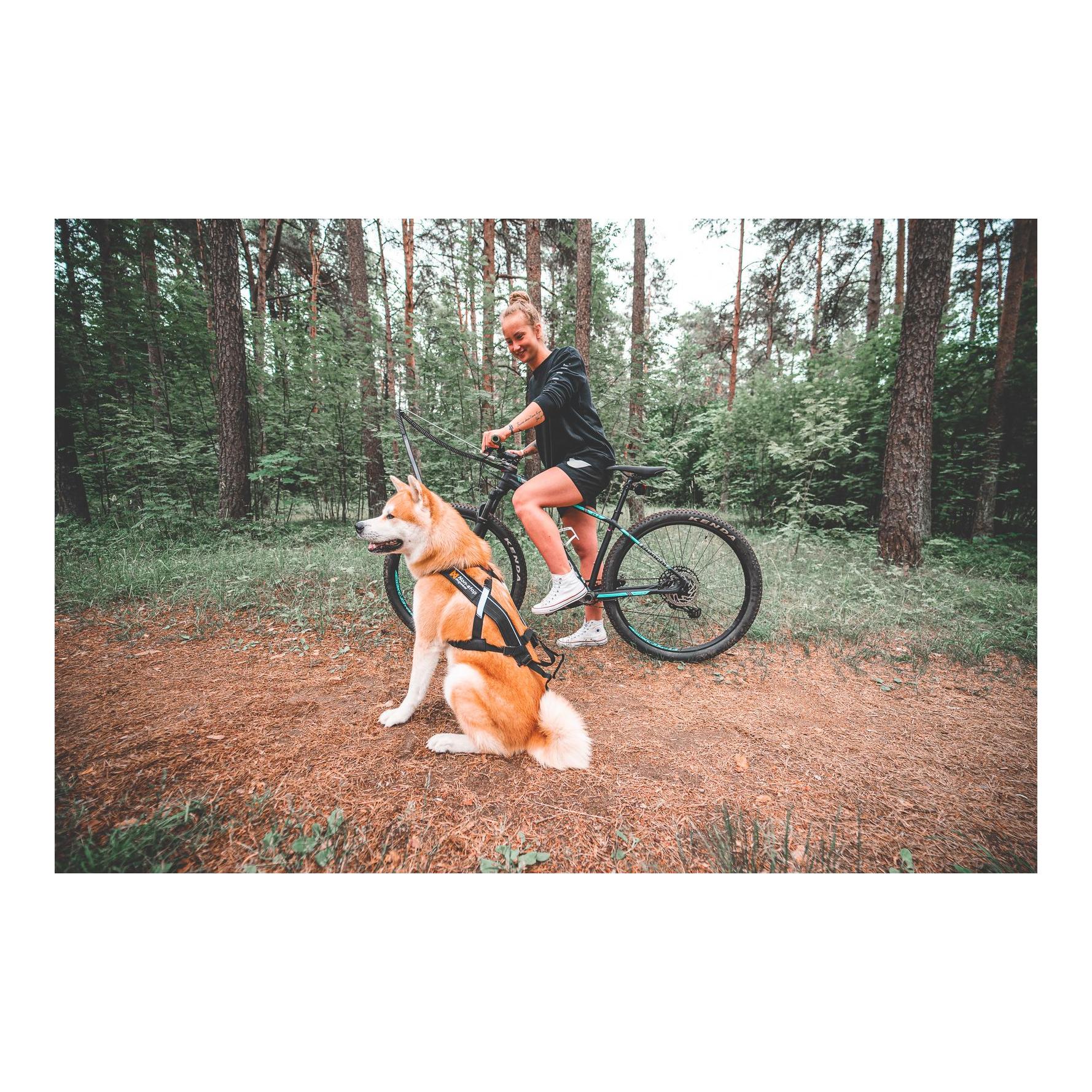 Non-stop Dogwear Bike Jöring Antenne