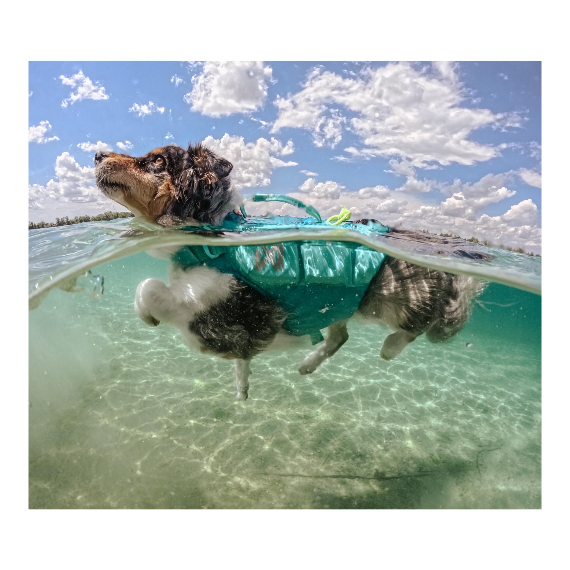 Protector Life Jacket Hundeschwimmweste