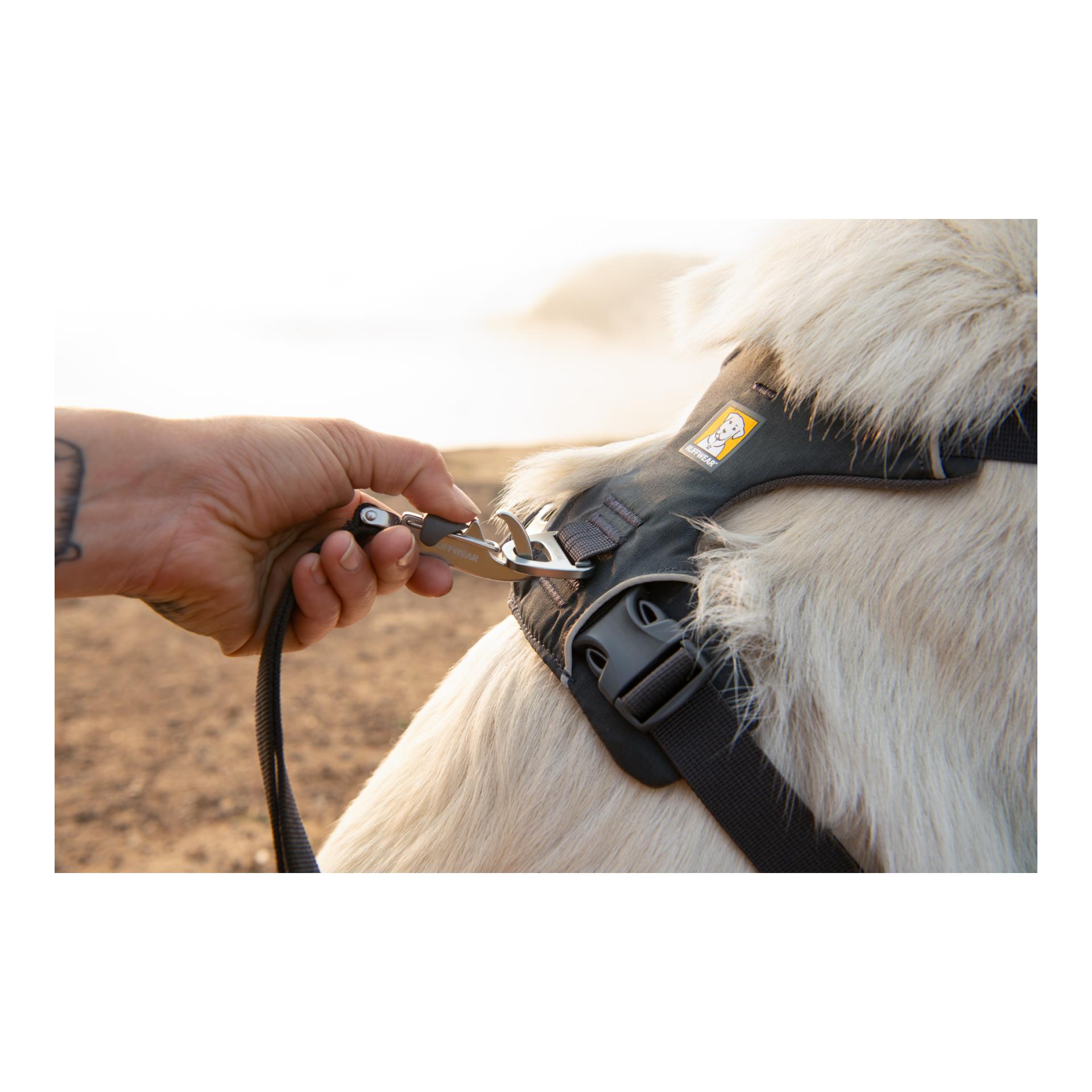 Front Range® Hundegeschirr 