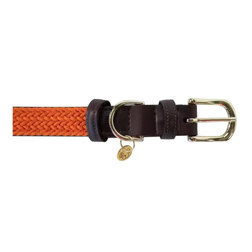 Kentucky Dogwear Hundehalsband Nylon geflochten