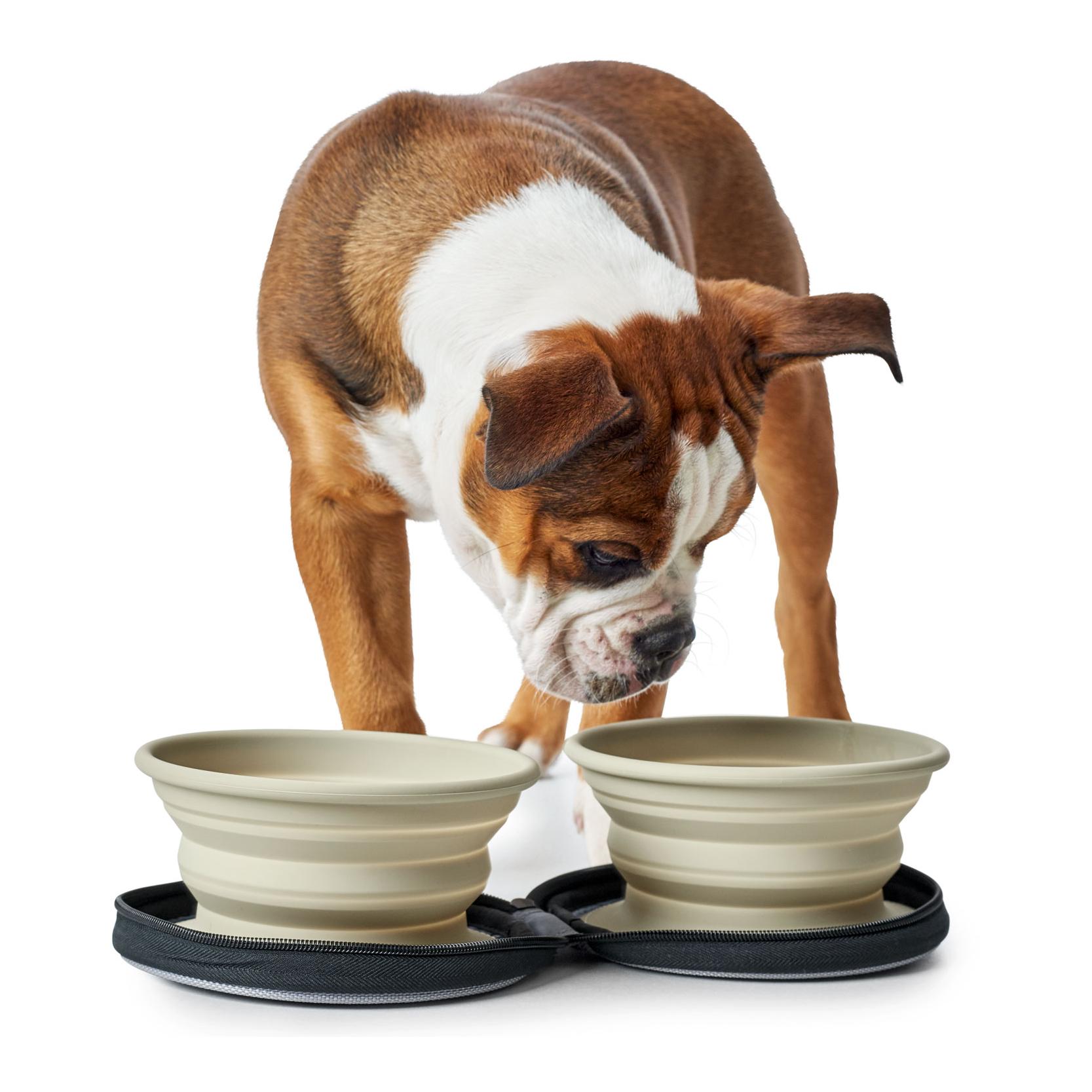 Silikon Reisenapf List mit Tasche