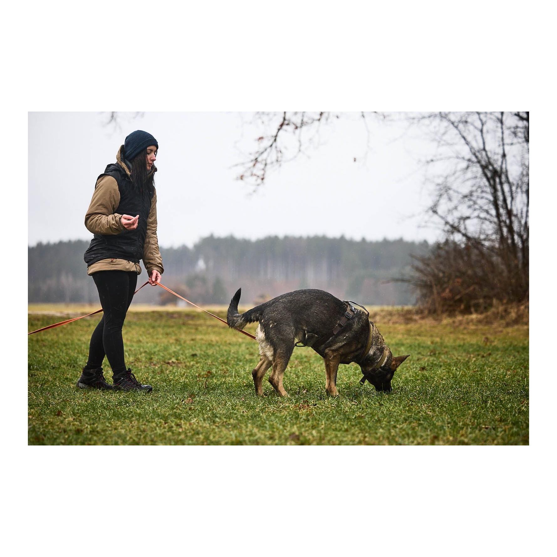 Non-stop Dogwear Hundegeschirr Line Harness Grip Working Dog